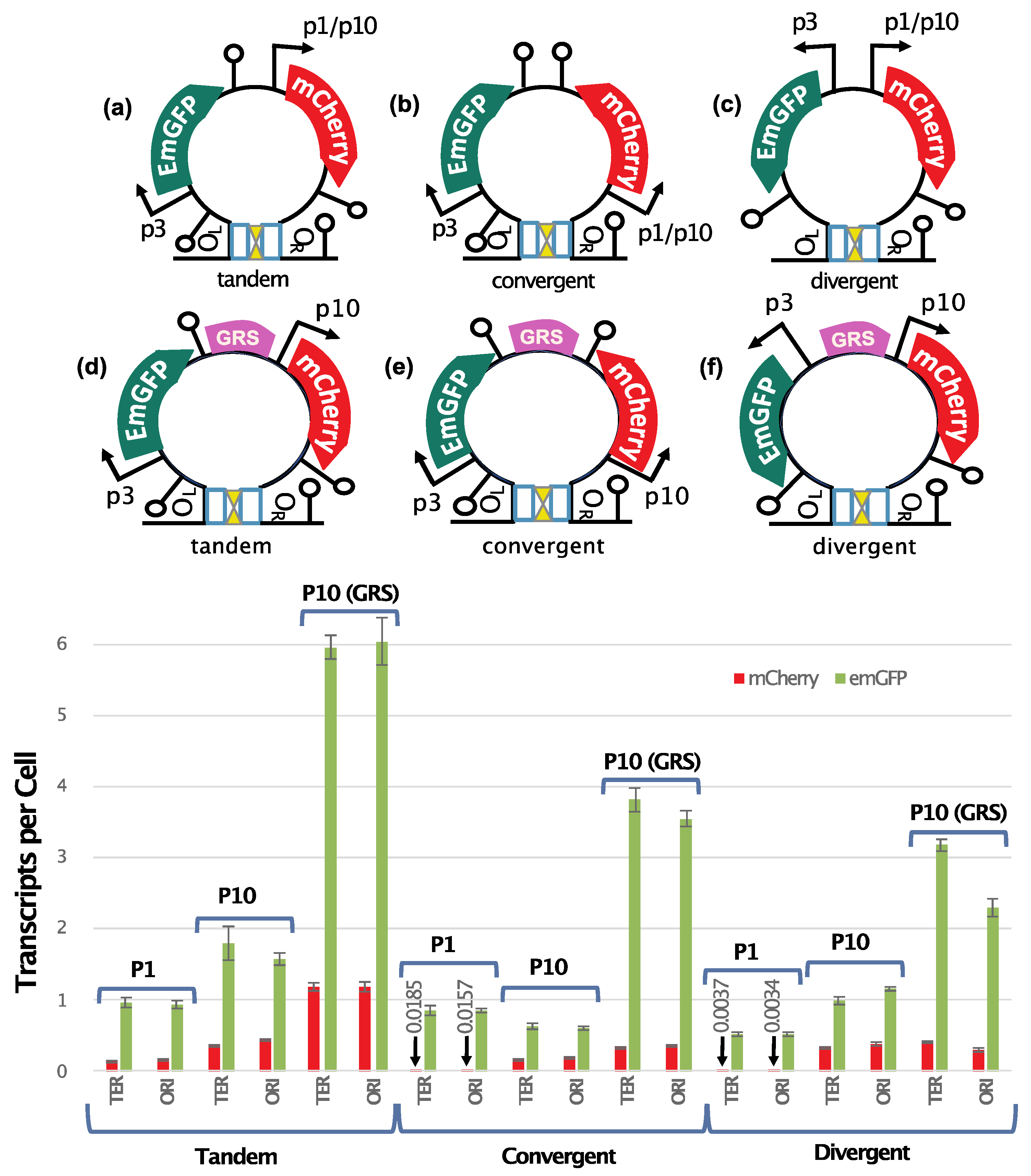 Preprints 140466 g004