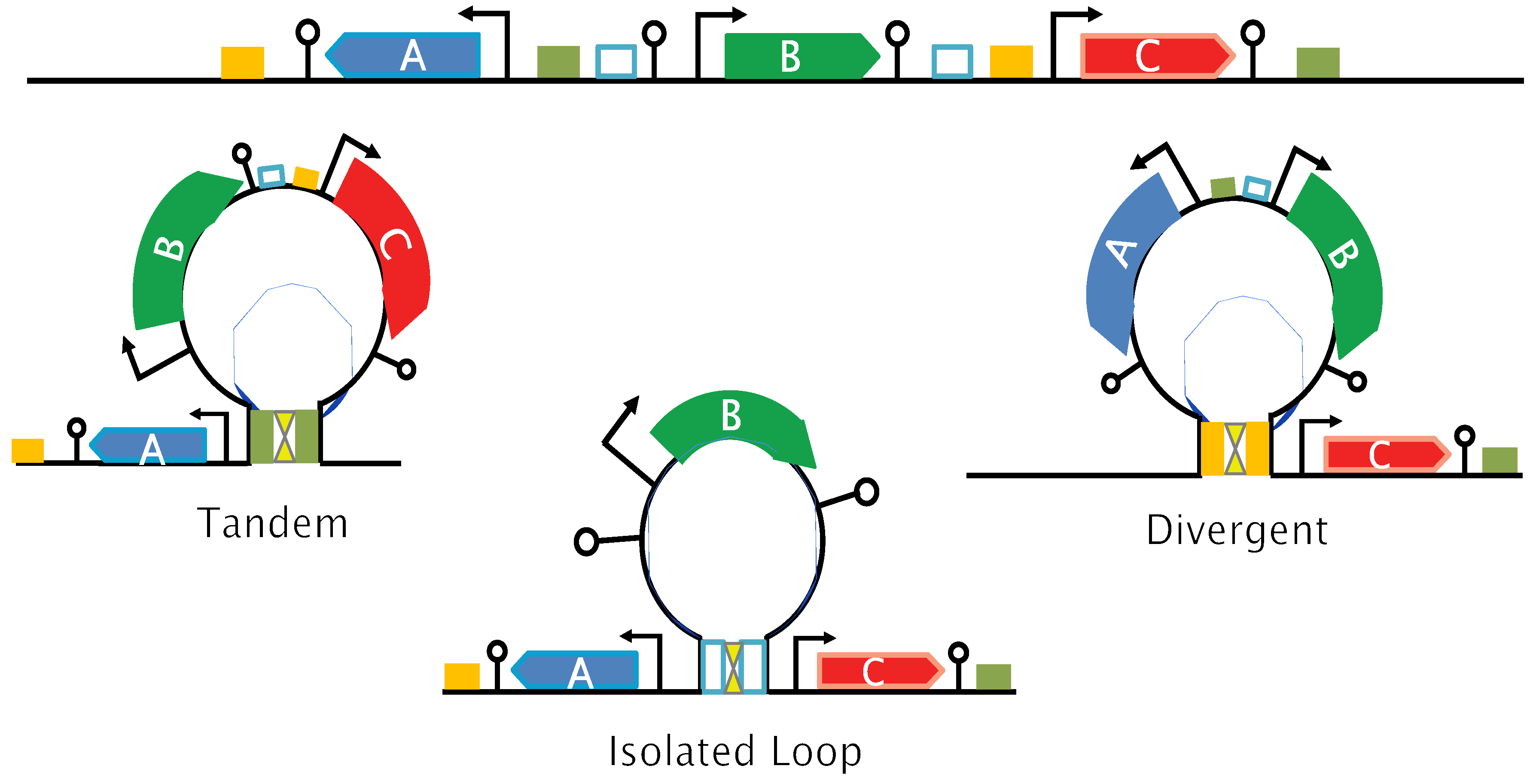 Preprints 140466 g005