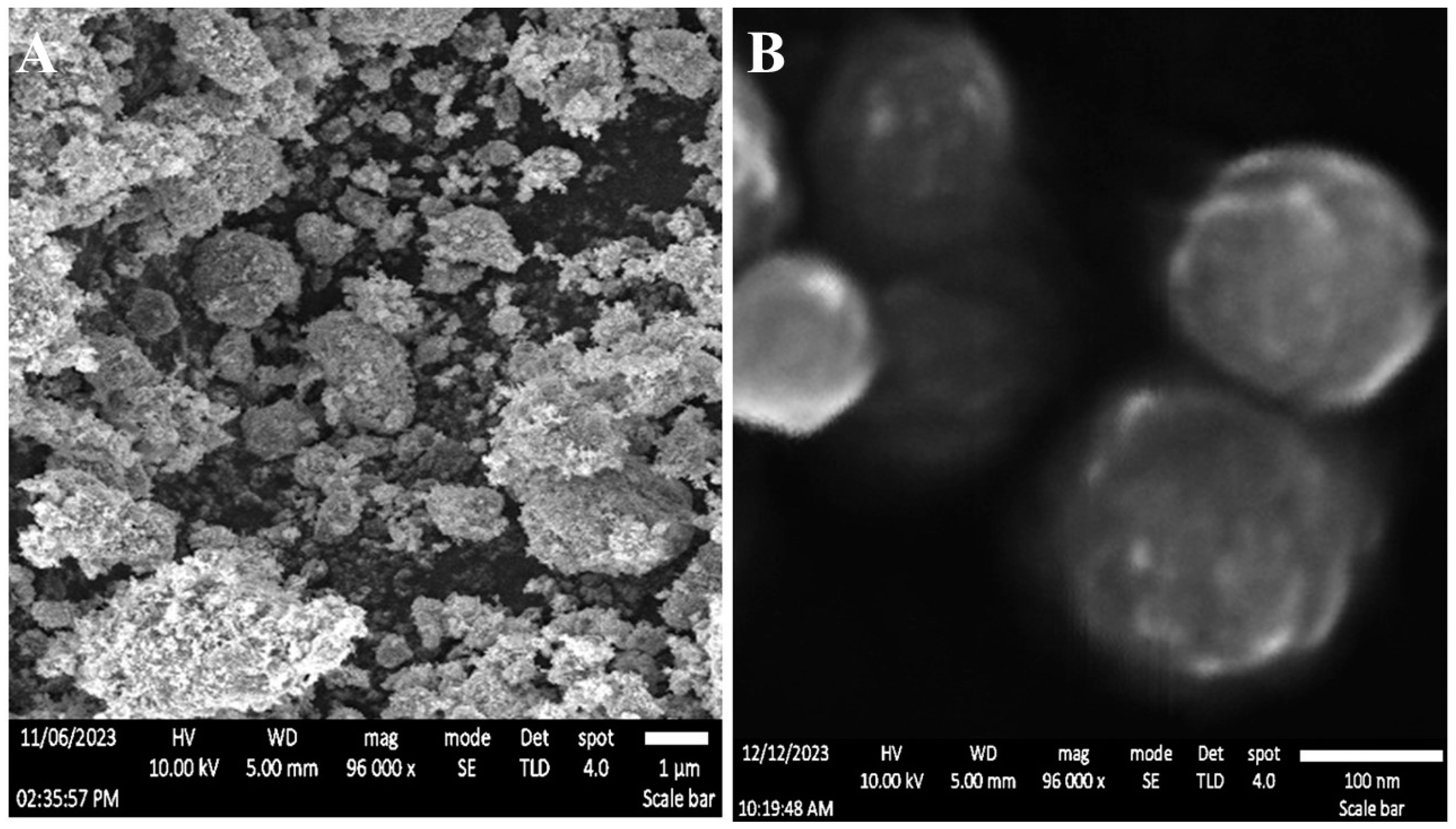 Preprints 148268 g001