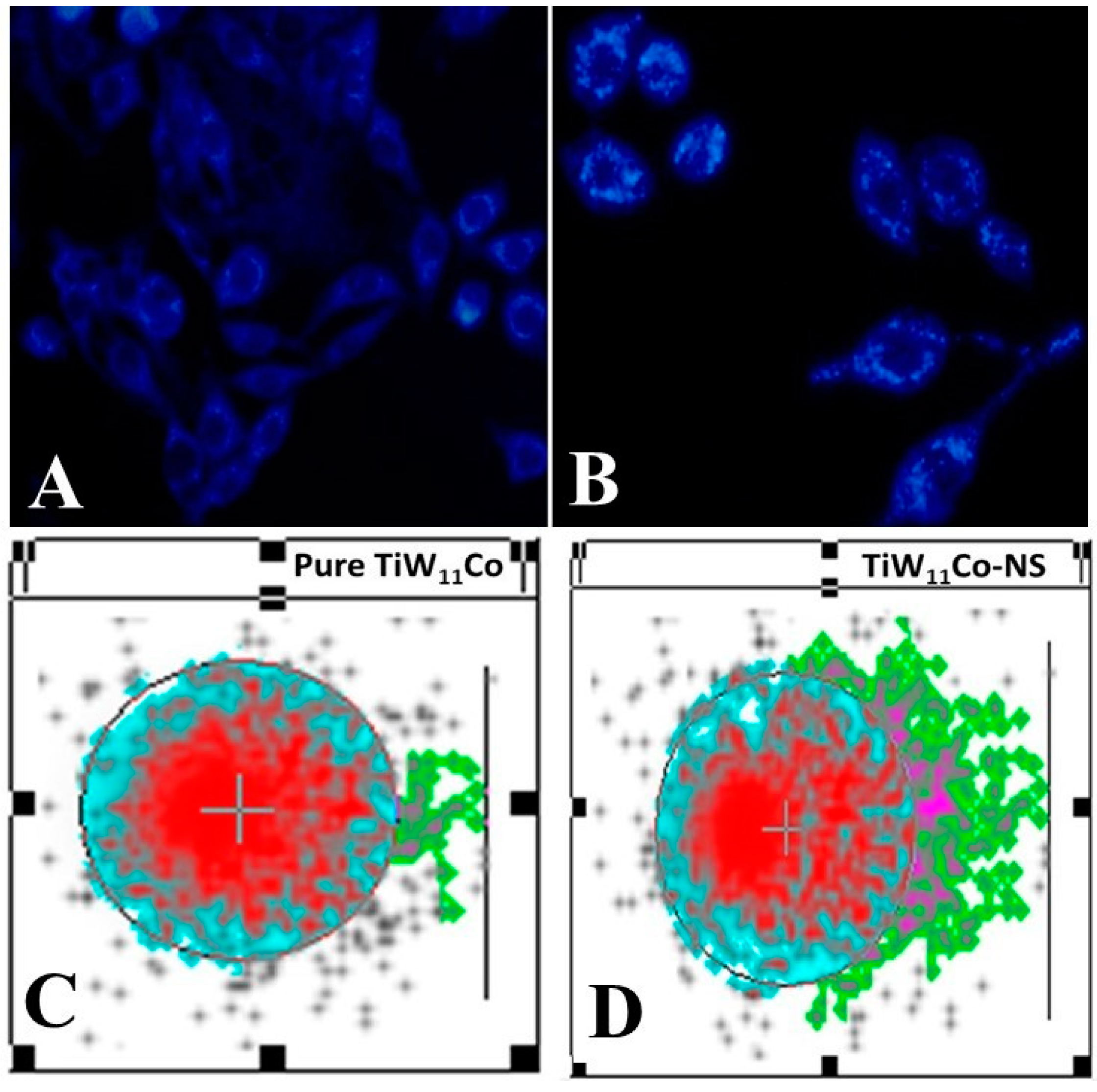 Preprints 148268 g006