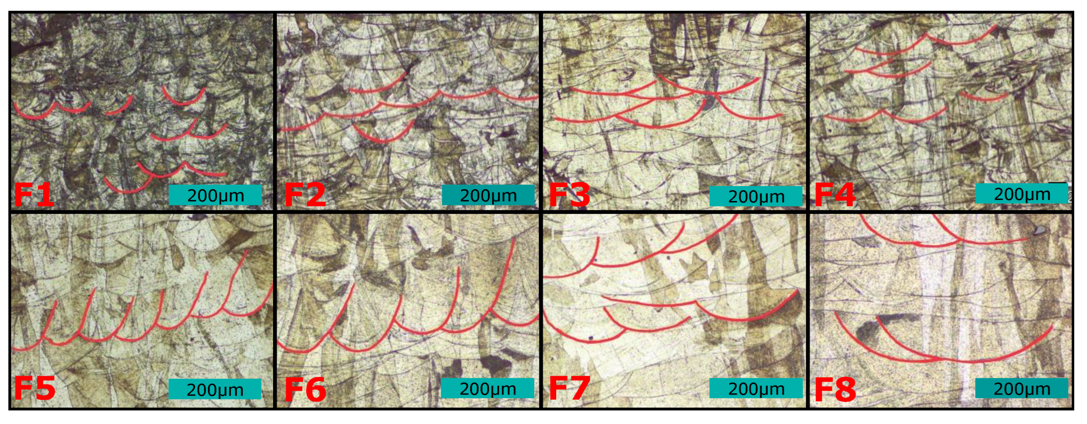 Preprints 170056 g005