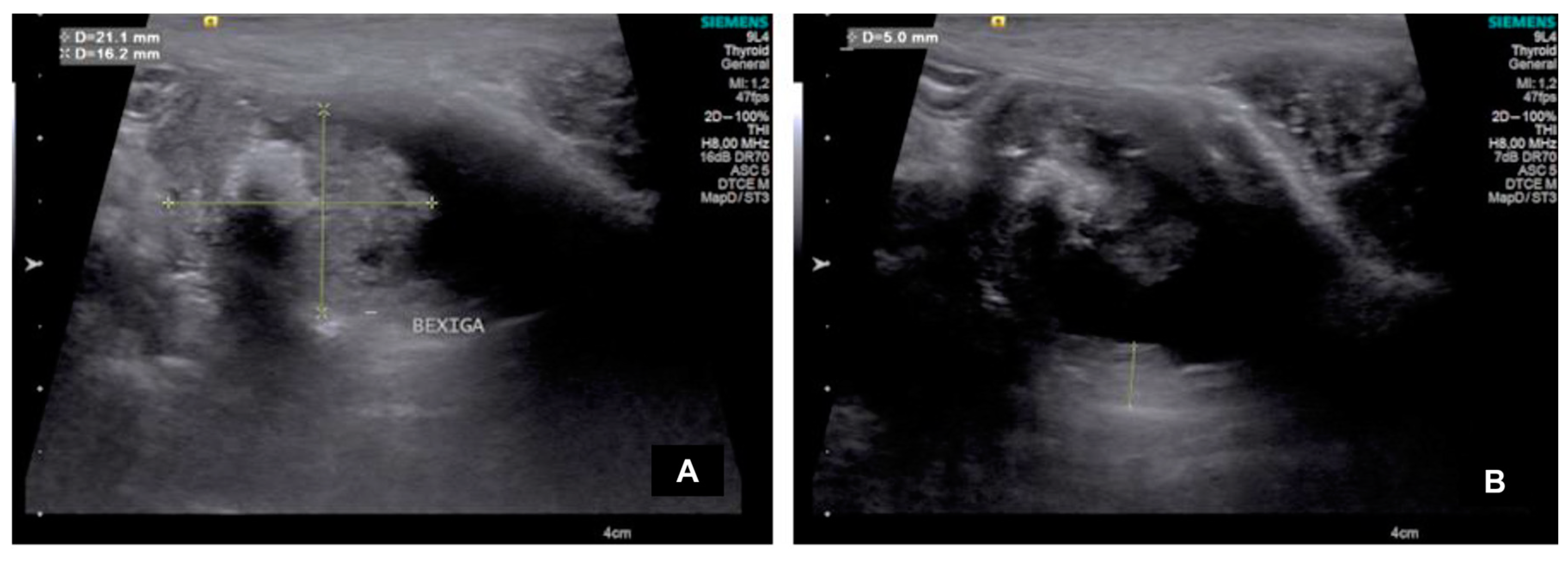 Preprints 153884 g001