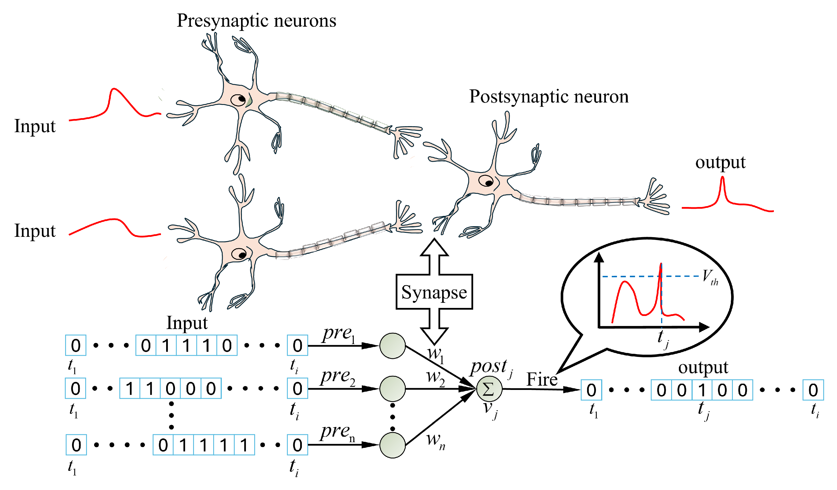 Preprints 184119 g003