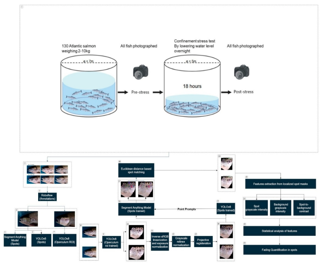 Preprints 236299 g001 Preprints 236299 g001