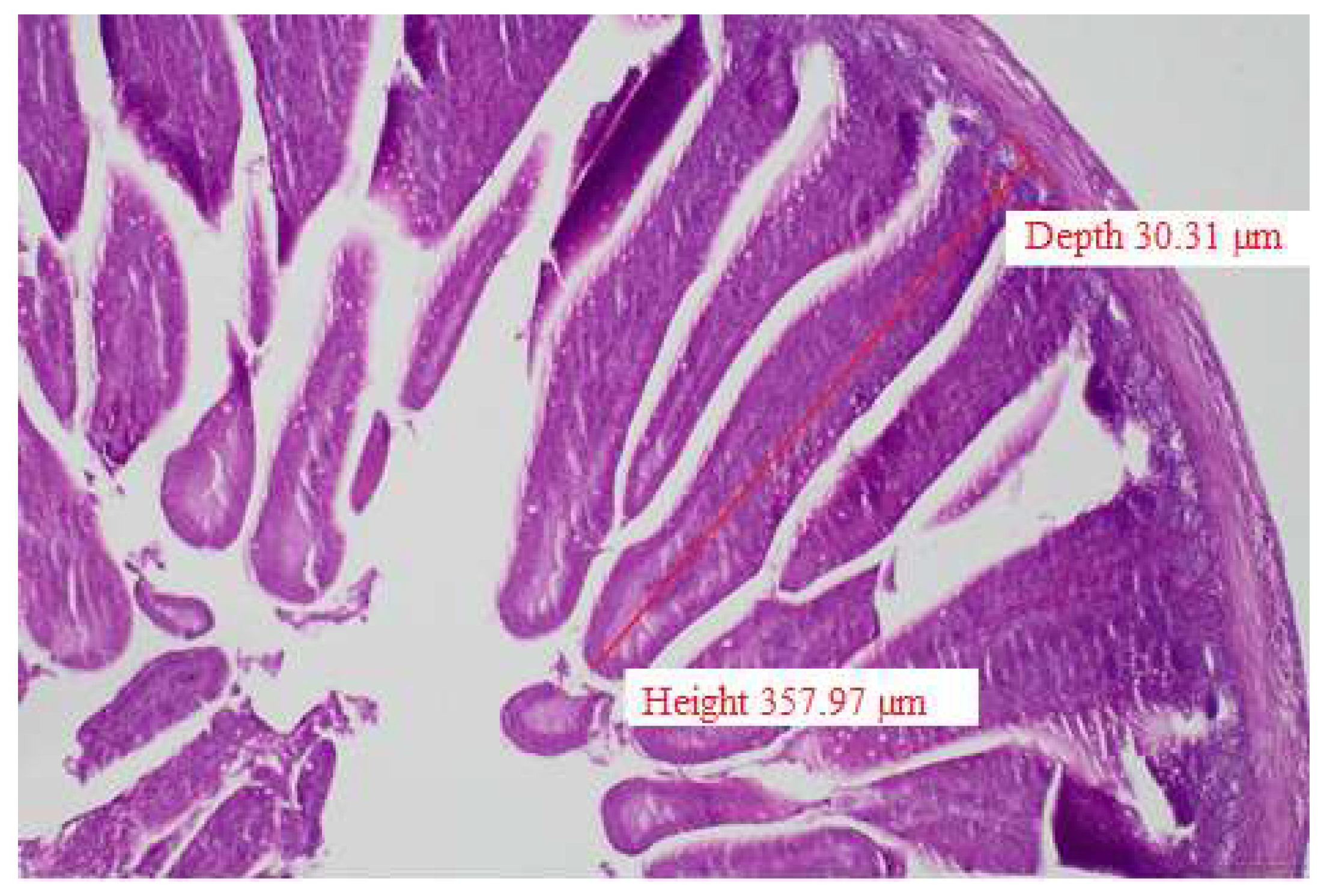 Preprints 141161 g001