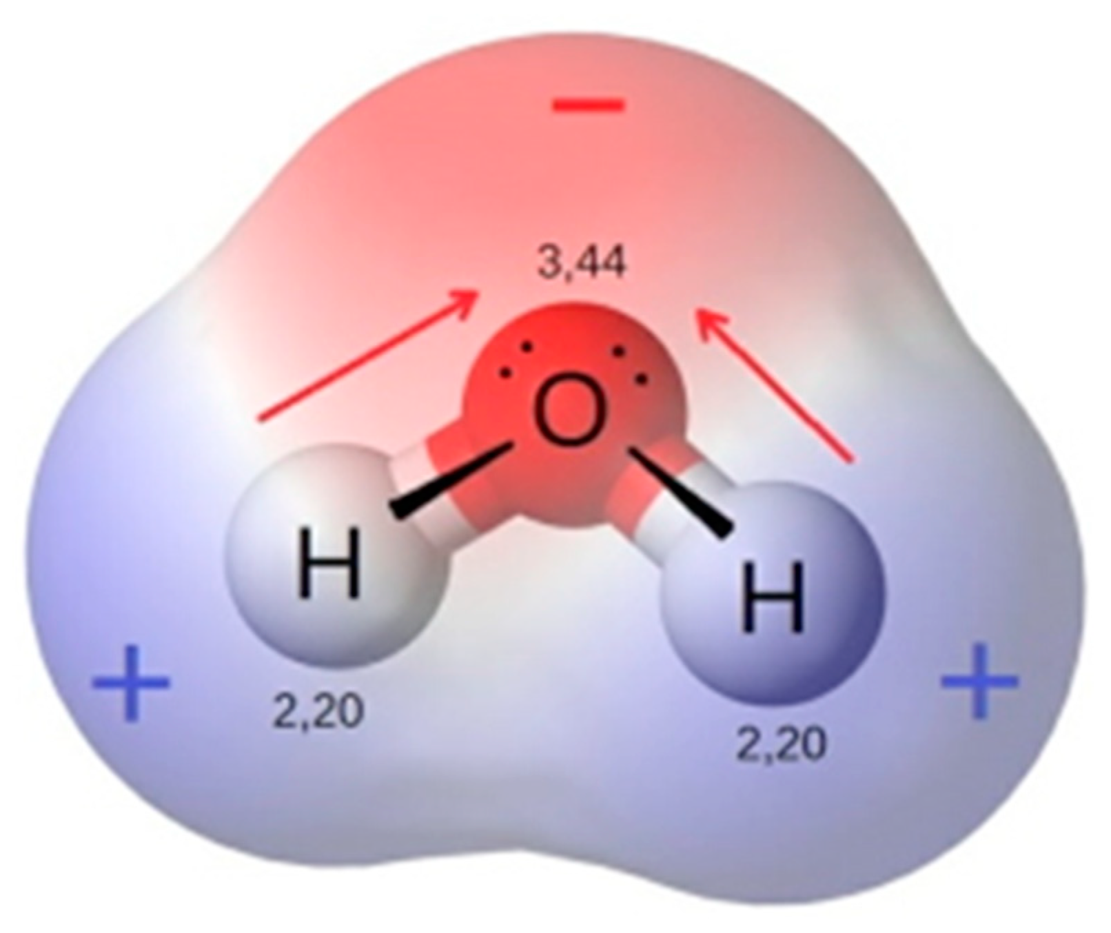 Preprints 146550 g004