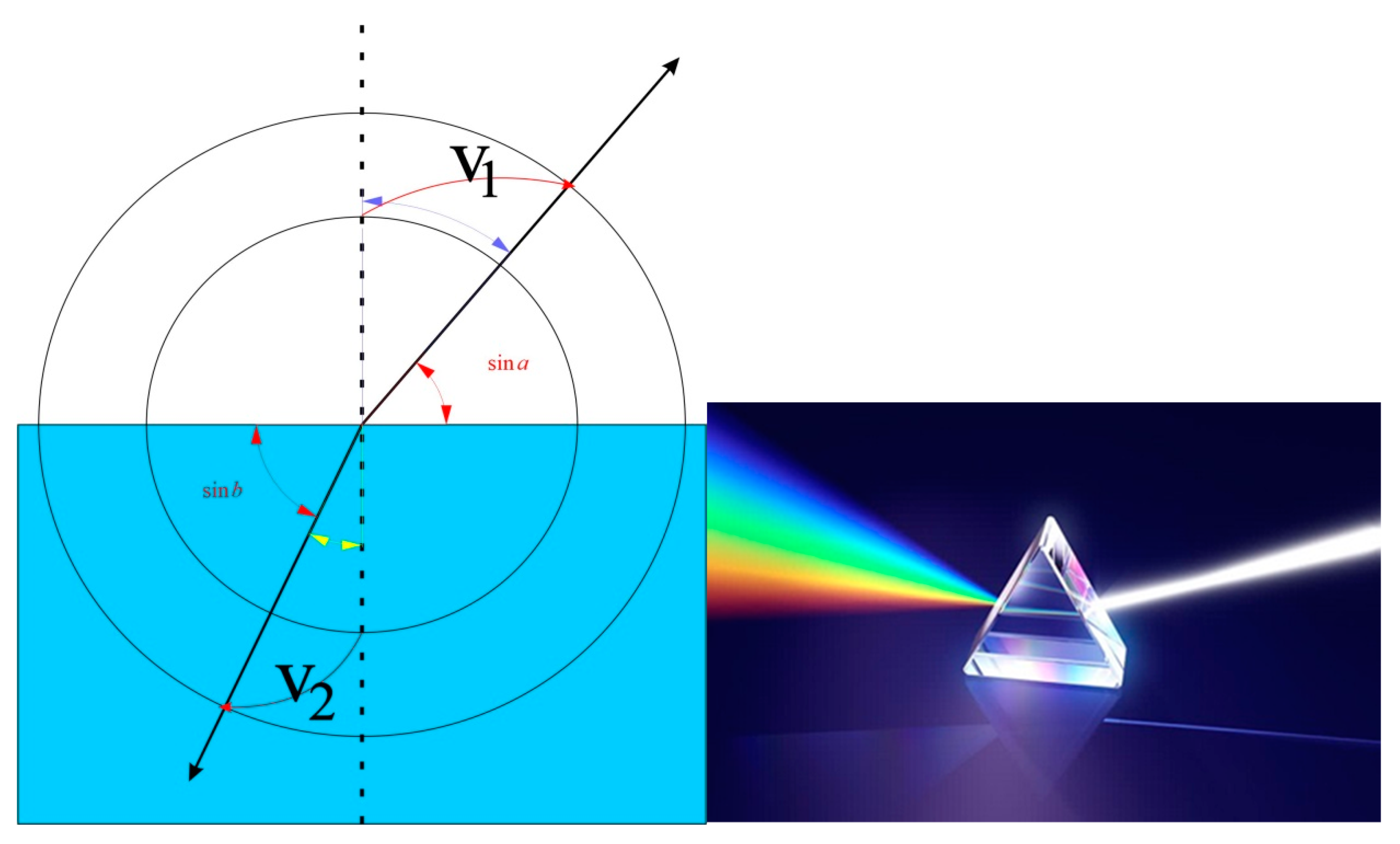 Preprints 146550 g006