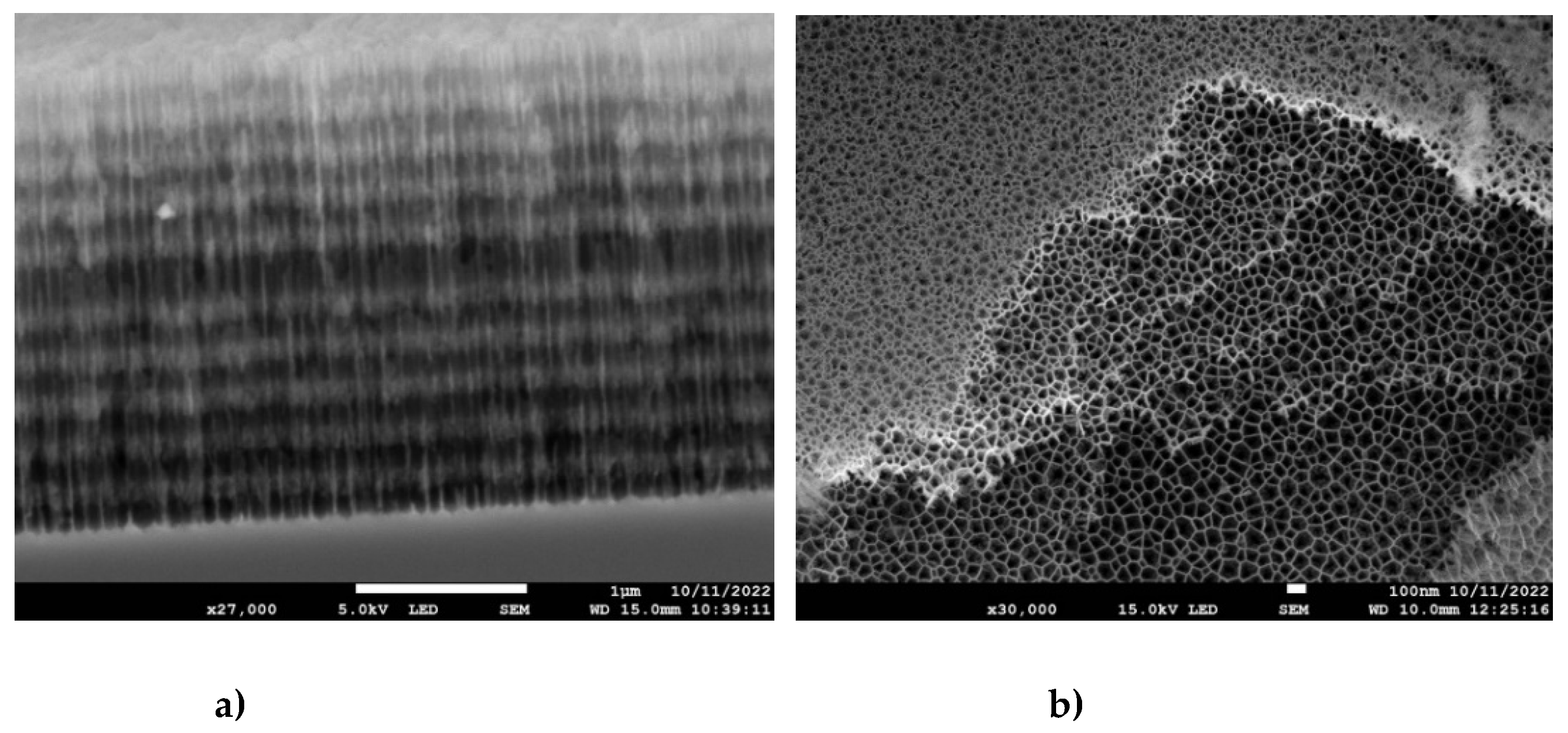 Preprints 77130 g004
