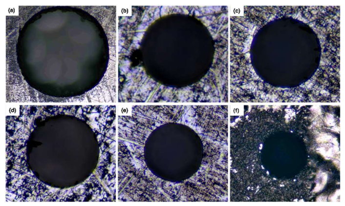 Preprints 217129 g005