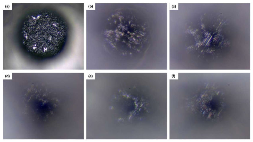 Preprints 217129 g007