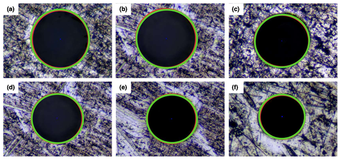 Preprints 217129 g010