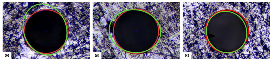 Preprints 217129 g011