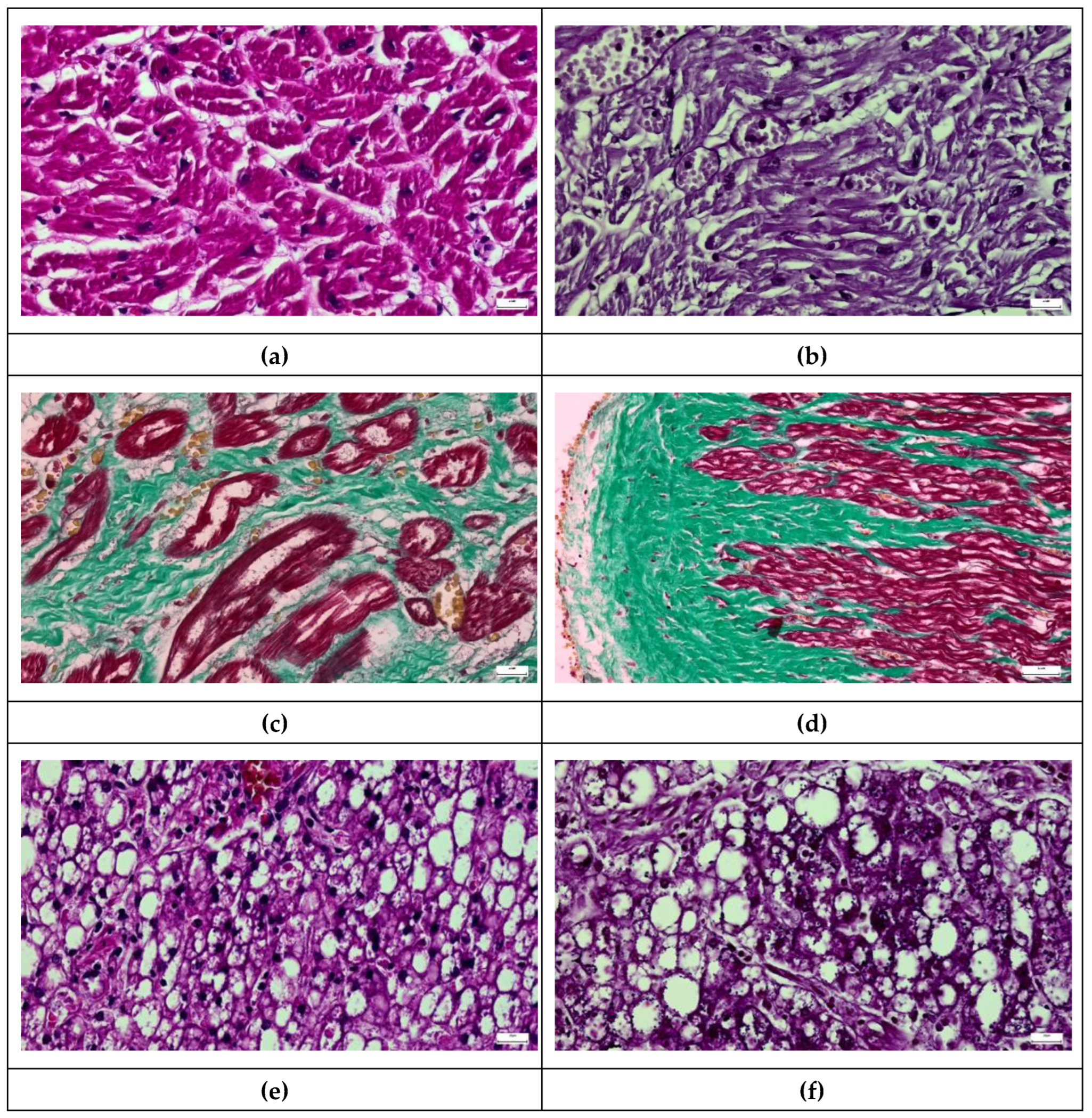 Preprints 205050 g006 Preprints 205050 g006