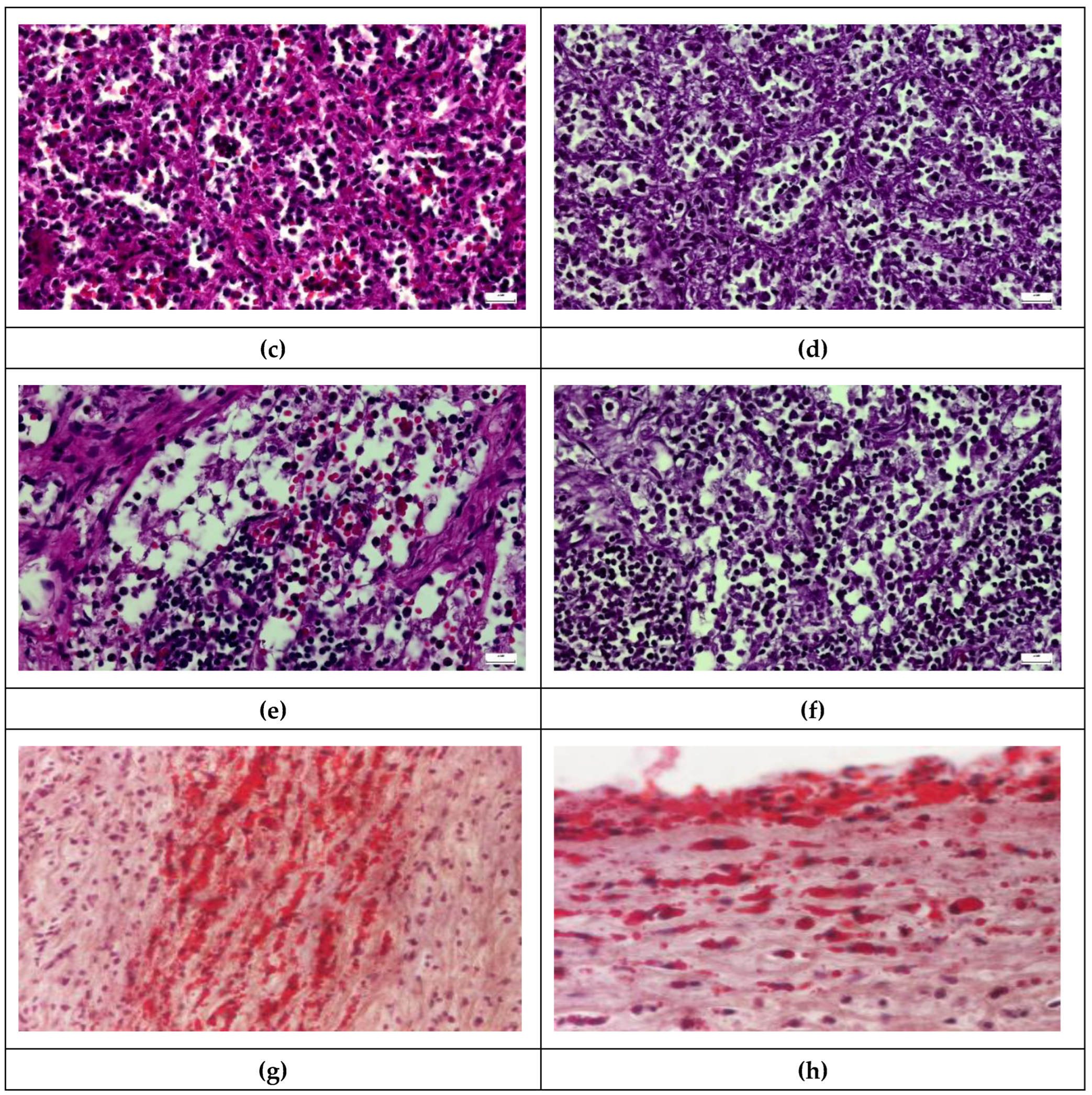 Preprints 205050 g007b