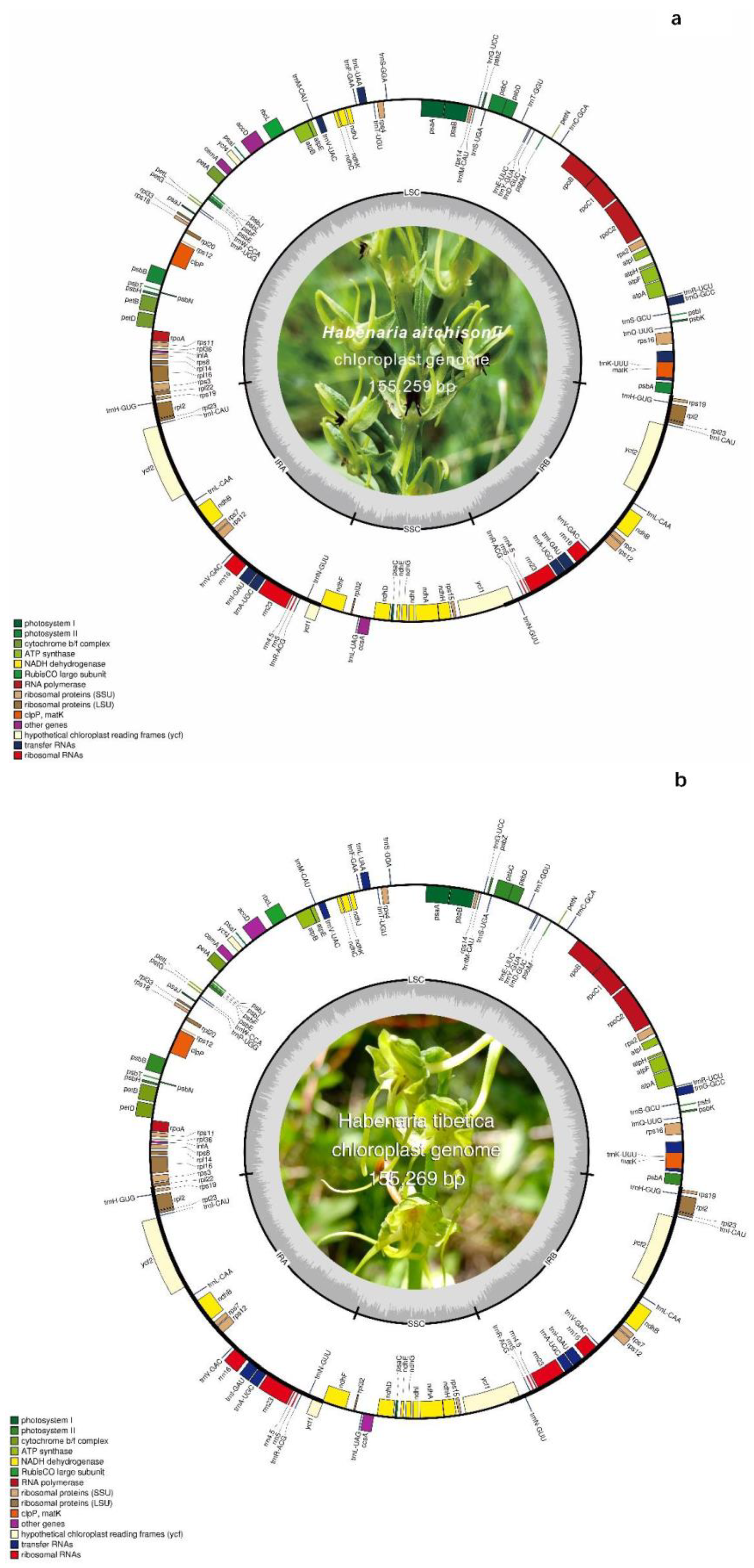 Preprints 108772 g001