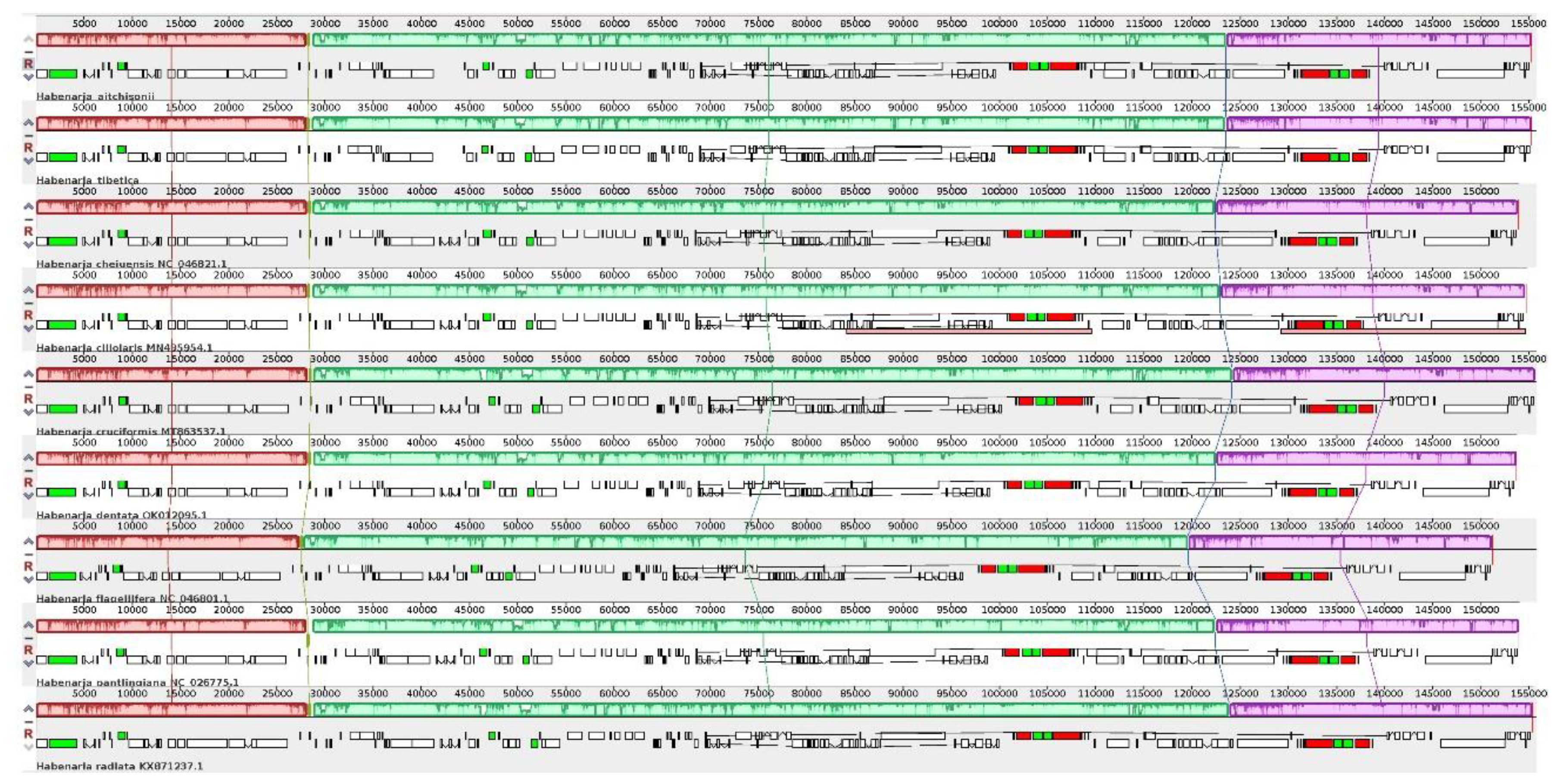 Preprints 108772 g002