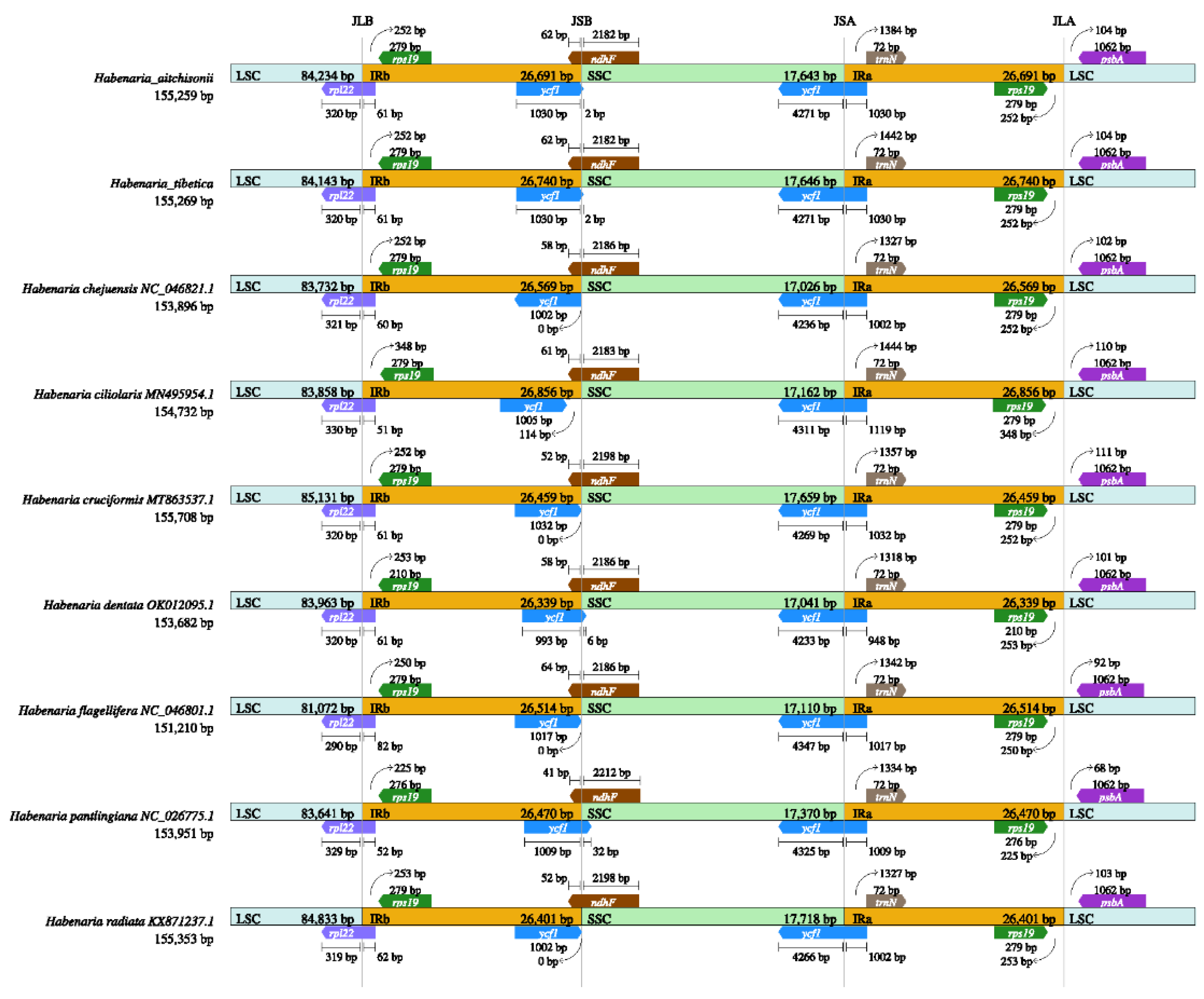 Preprints 108772 g004