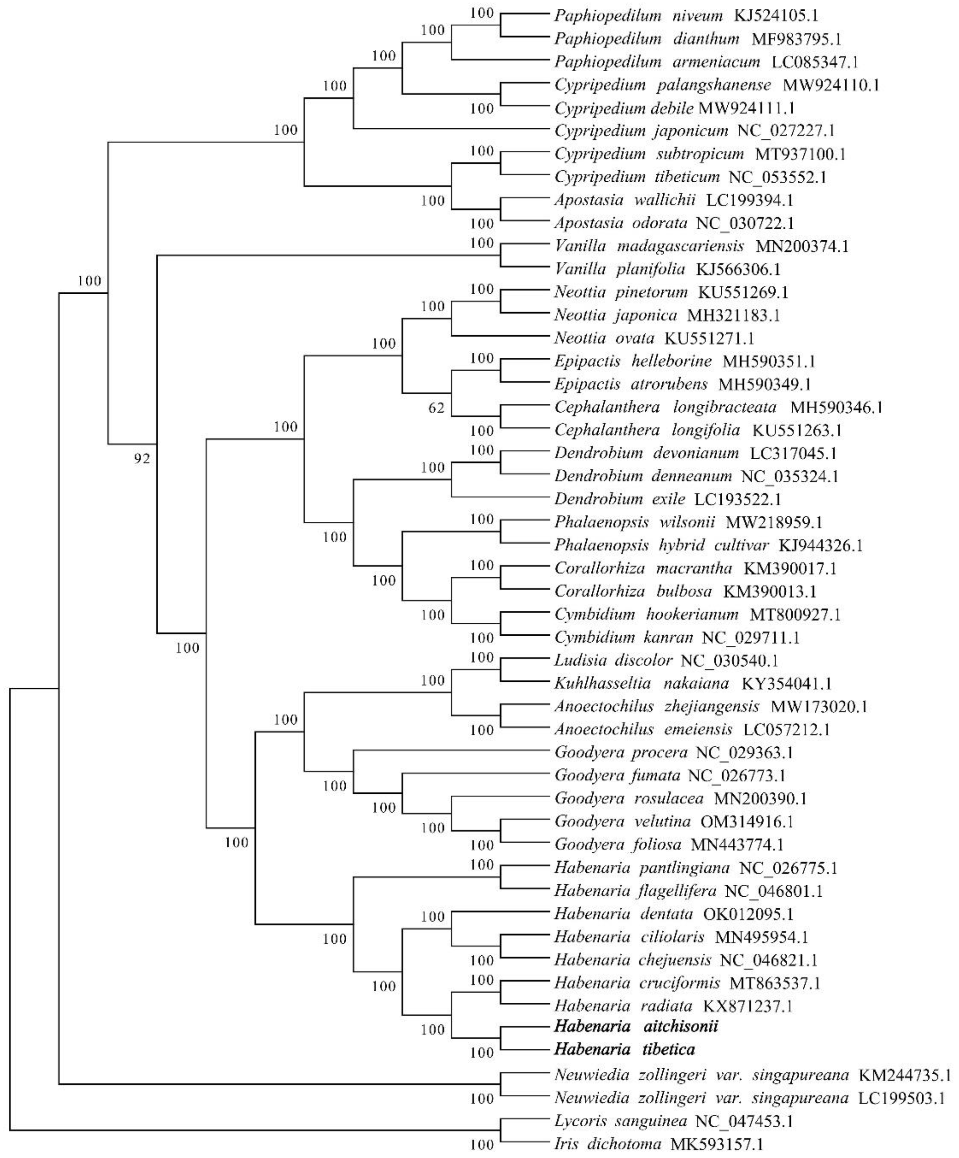 Preprints 108772 g008a
