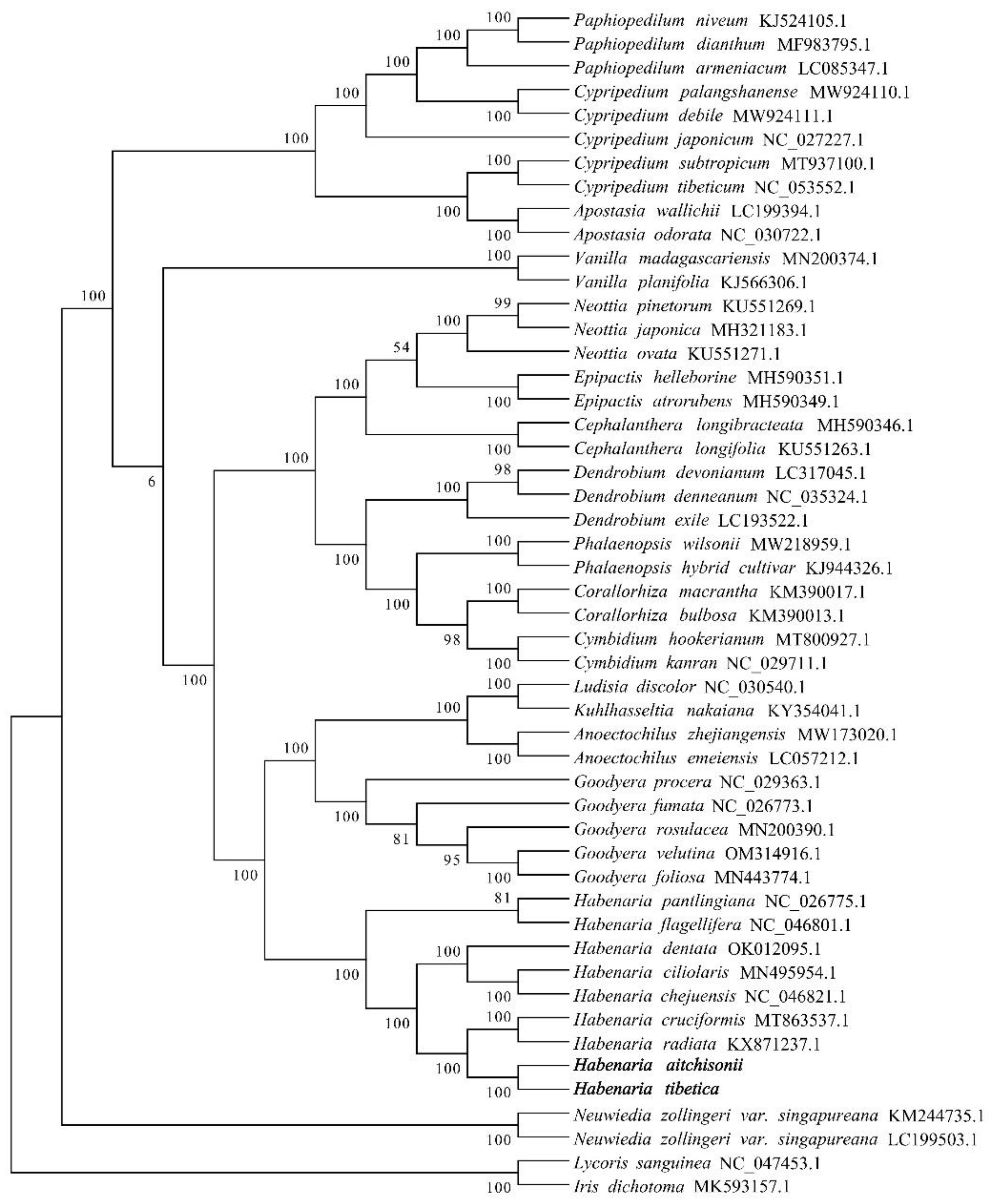 Preprints 108772 g008b