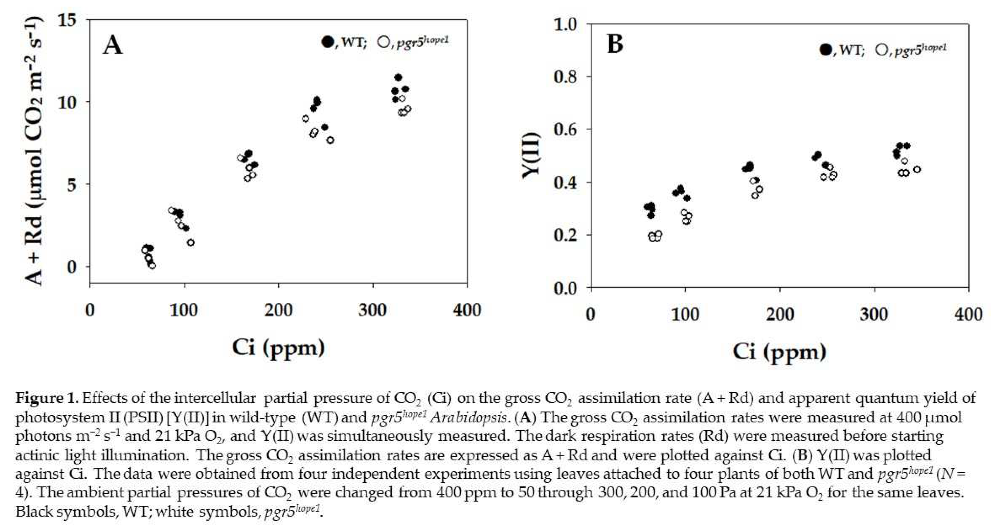 Preprints 95895 g001