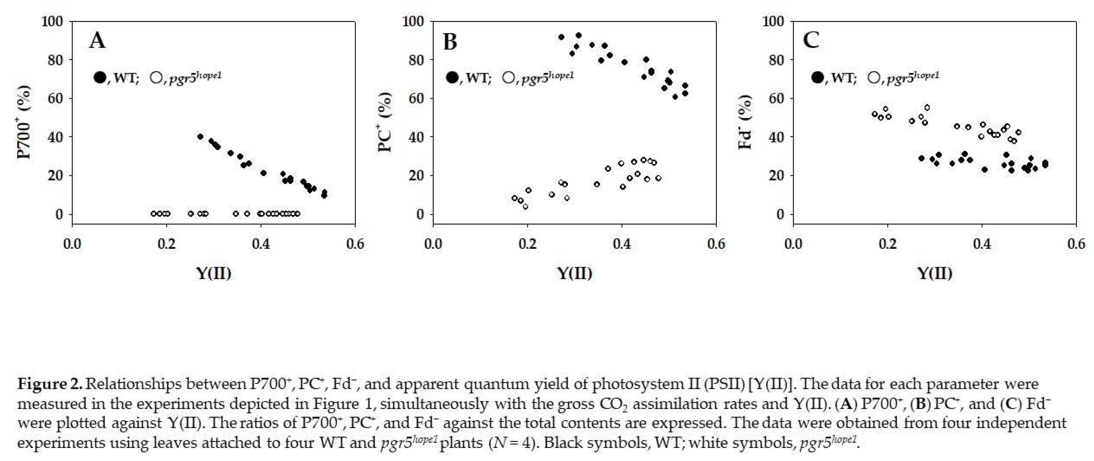 Preprints 95895 g002
