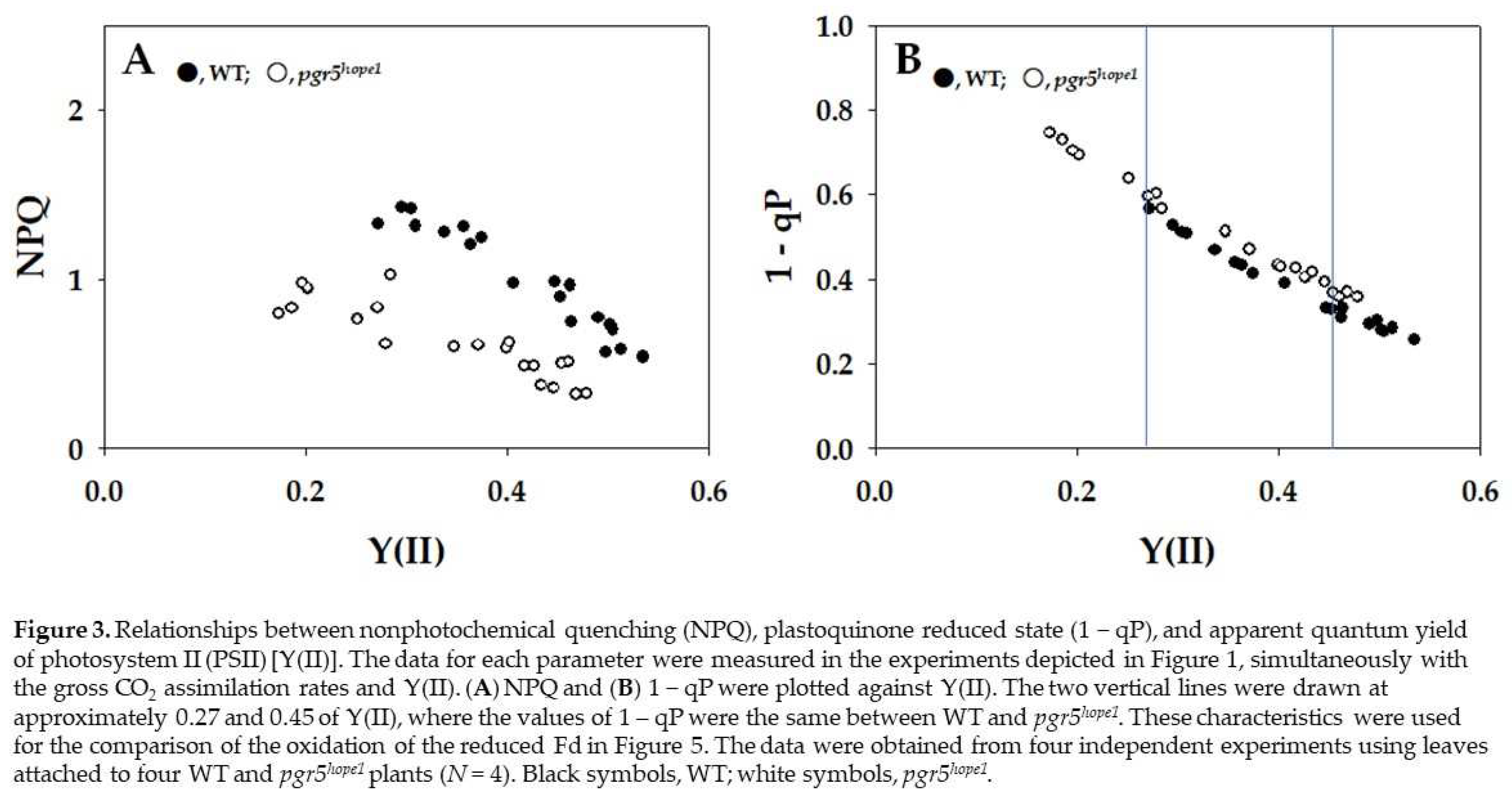 Preprints 95895 g003
