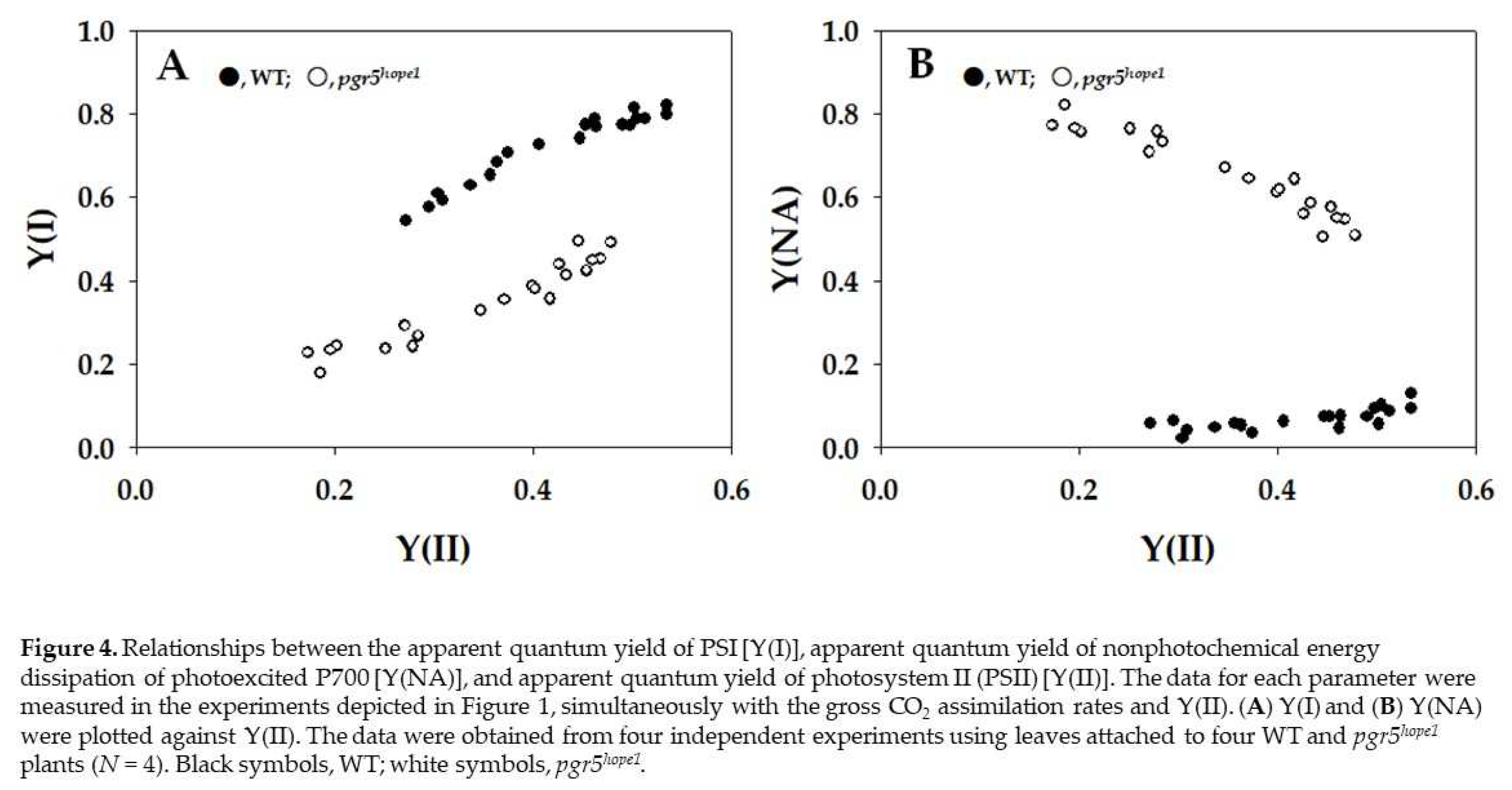 Preprints 95895 g004