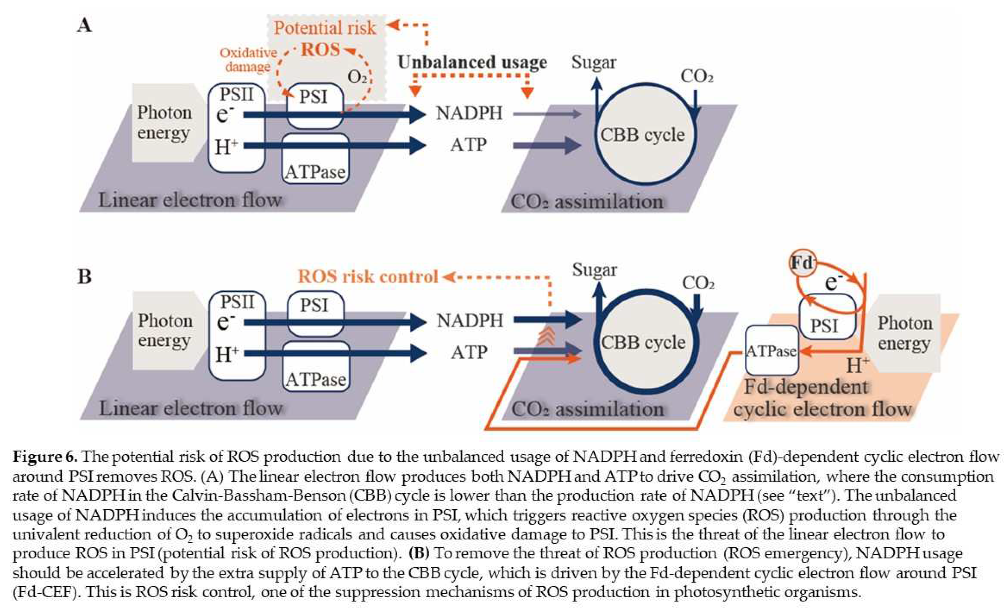 Preprints 95895 g006