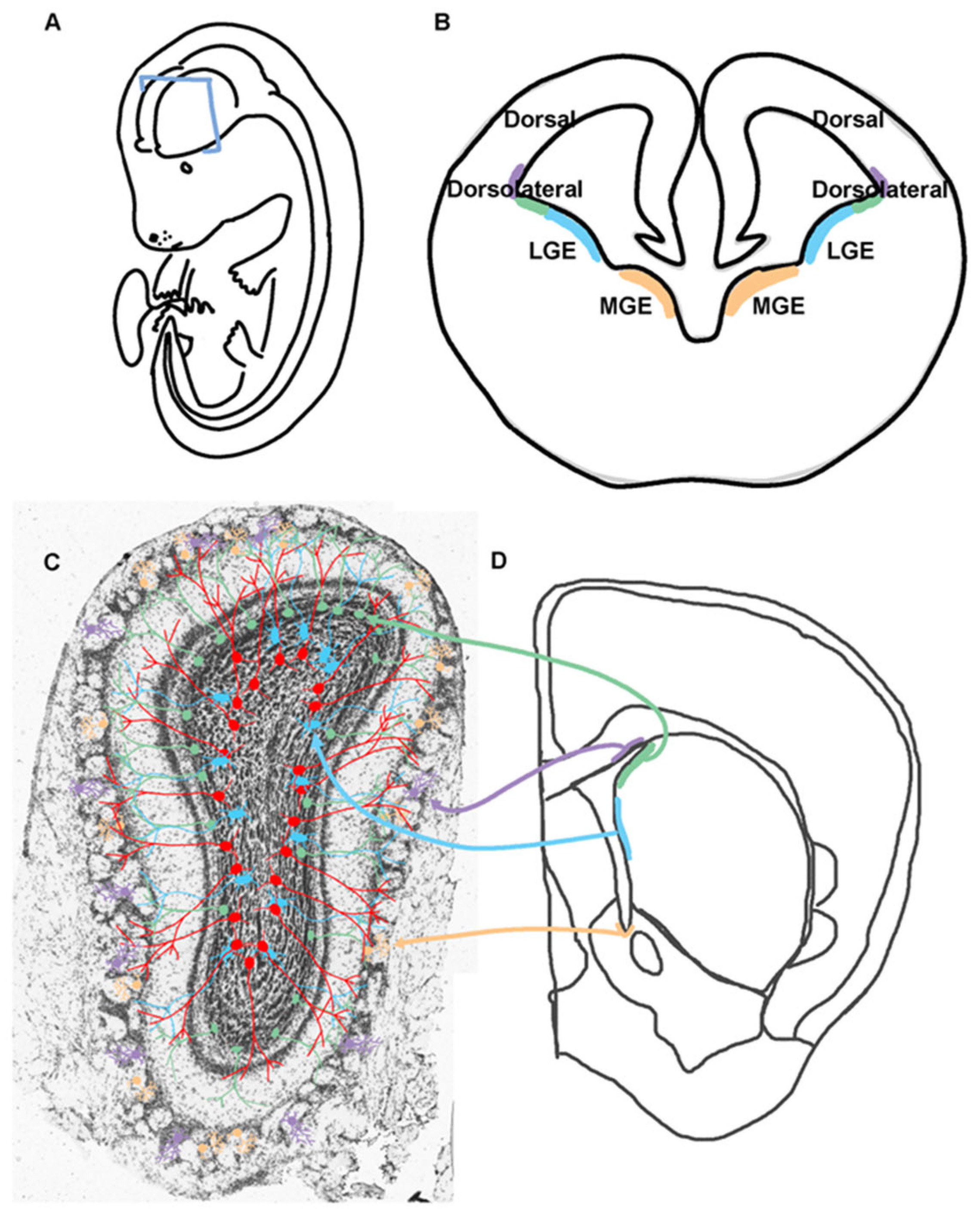 Preprints 152396 g002
