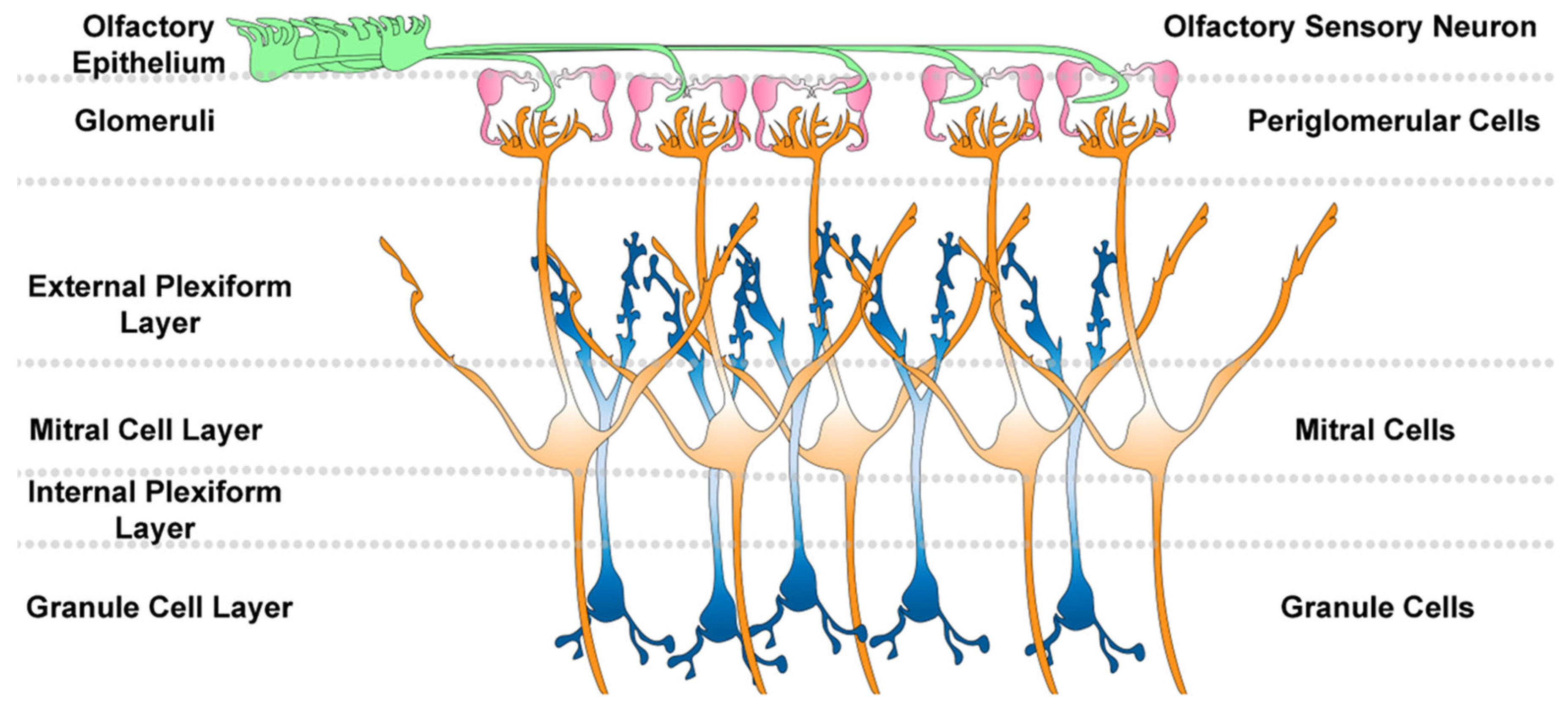 Preprints 152396 g003