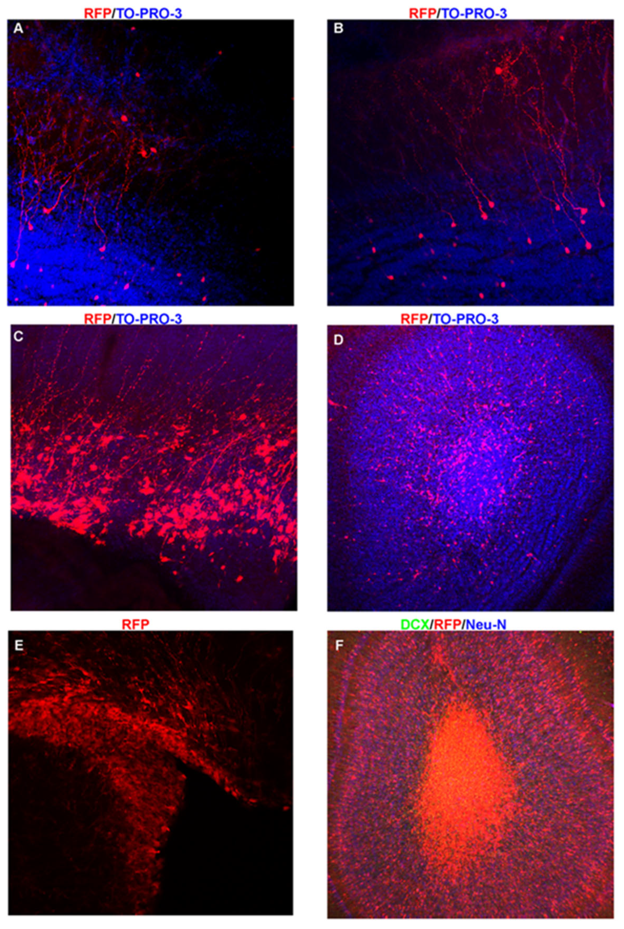 Preprints 152396 g004
