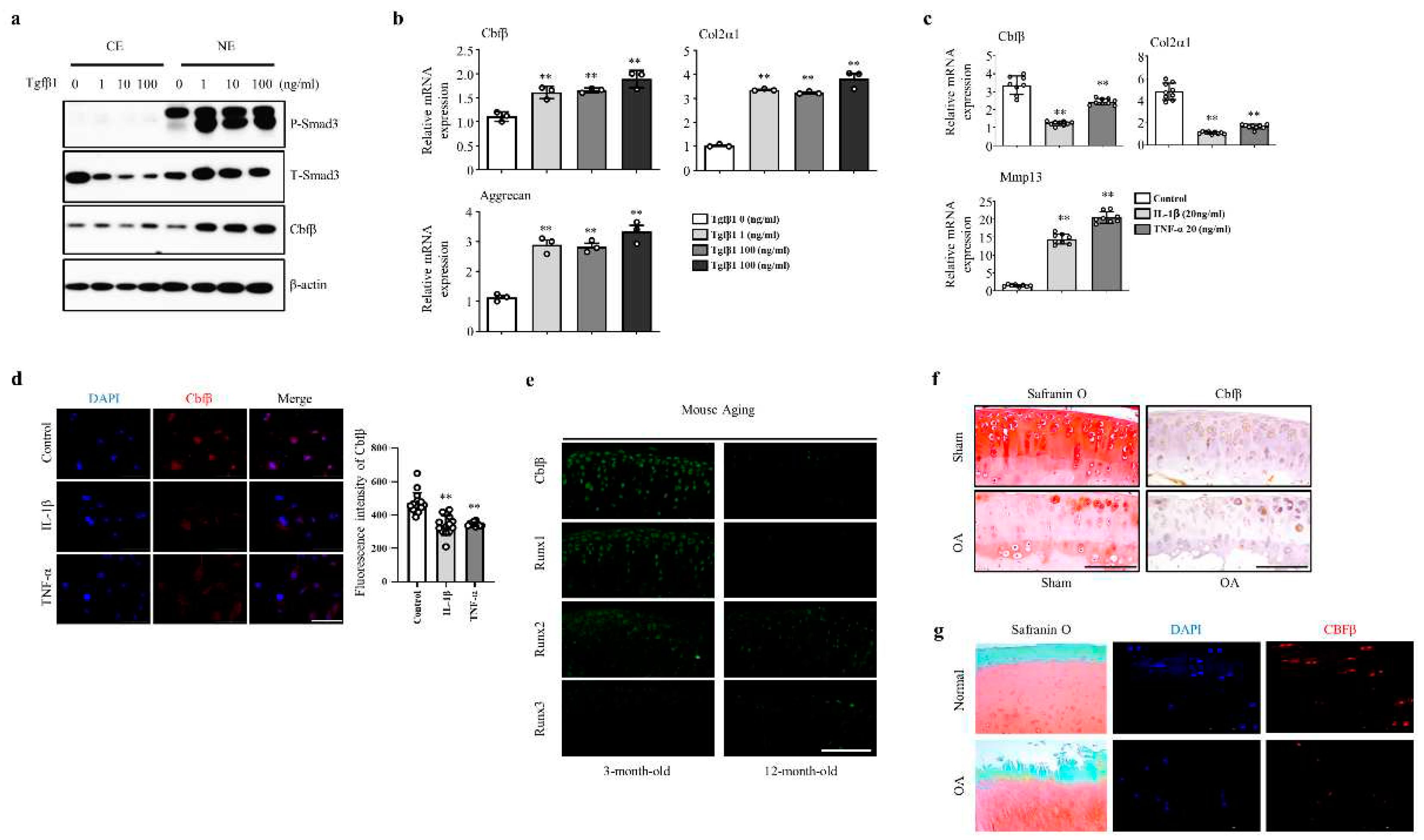 Preprints 68654 g001
