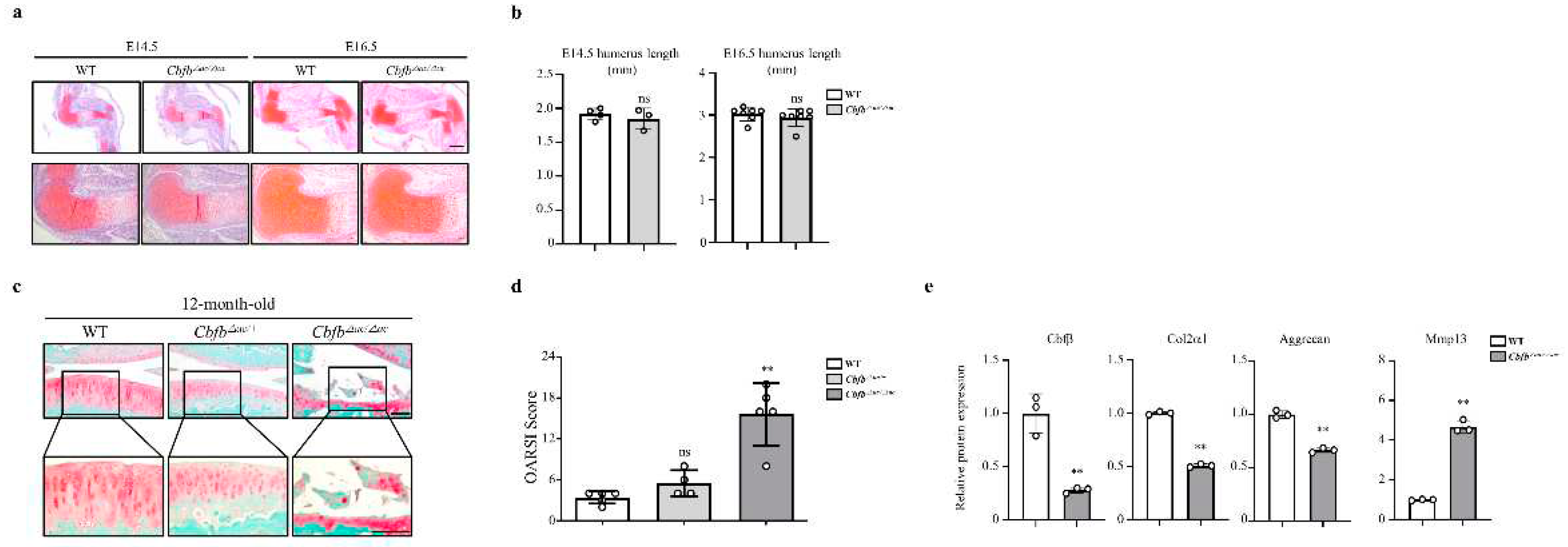 Preprints 68654 g002