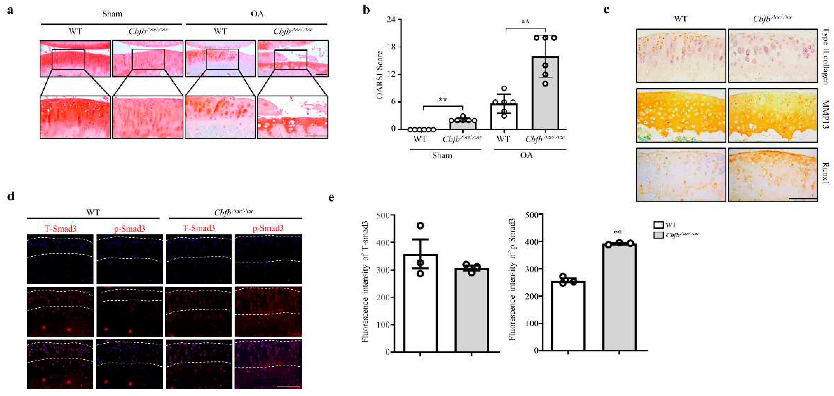 Preprints 68654 g003