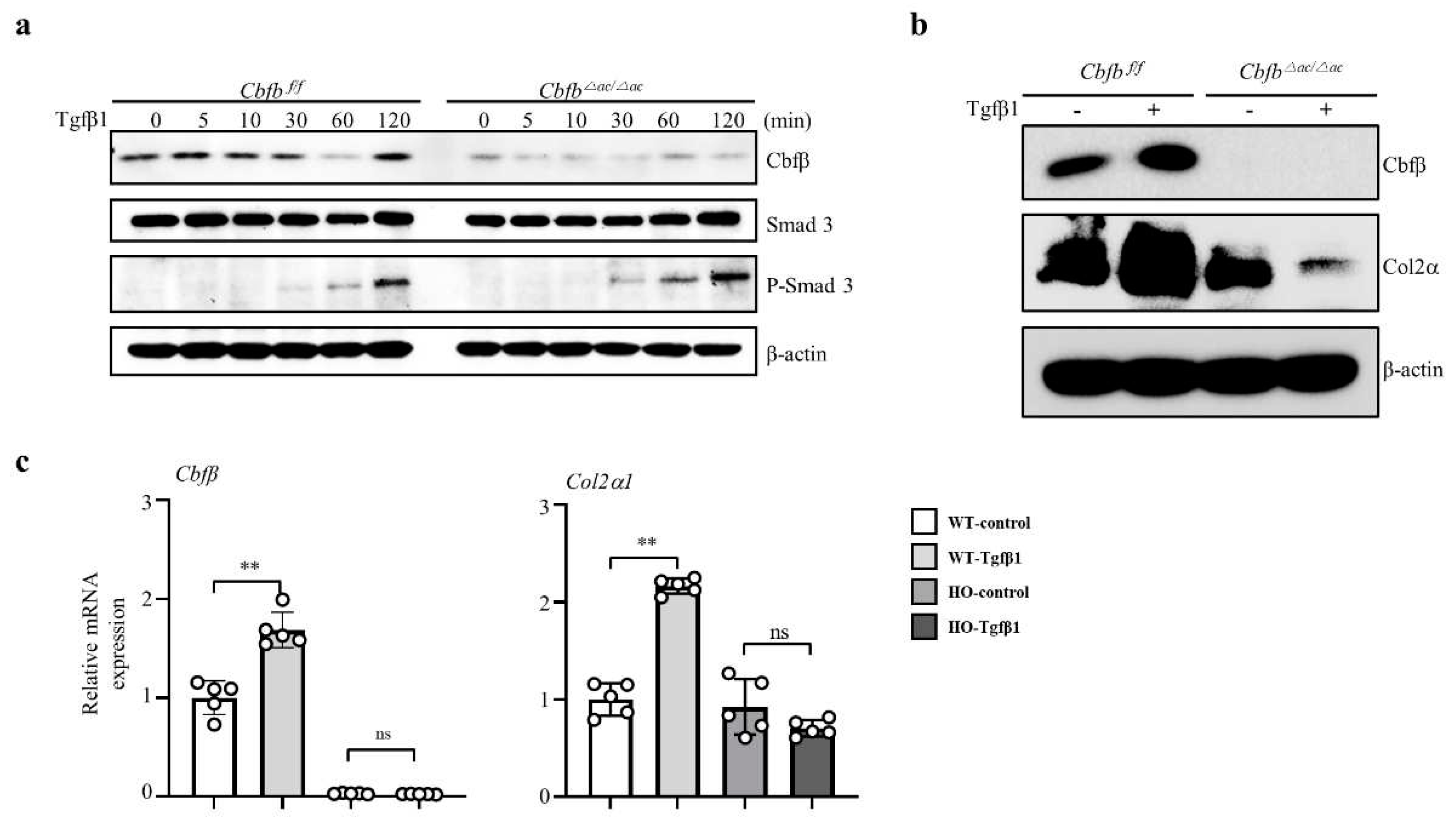Preprints 68654 g004
