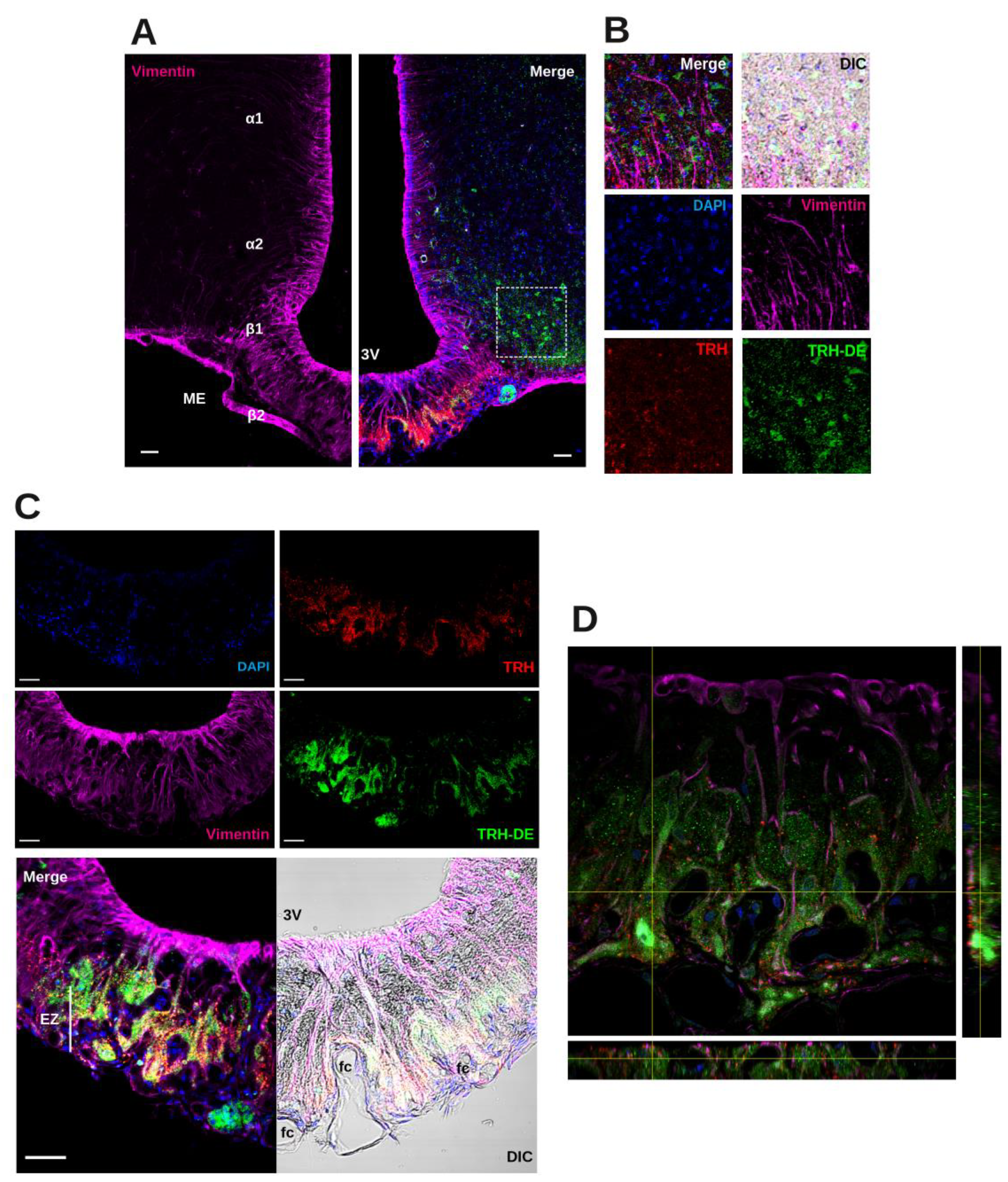 Preprints 149332 g001