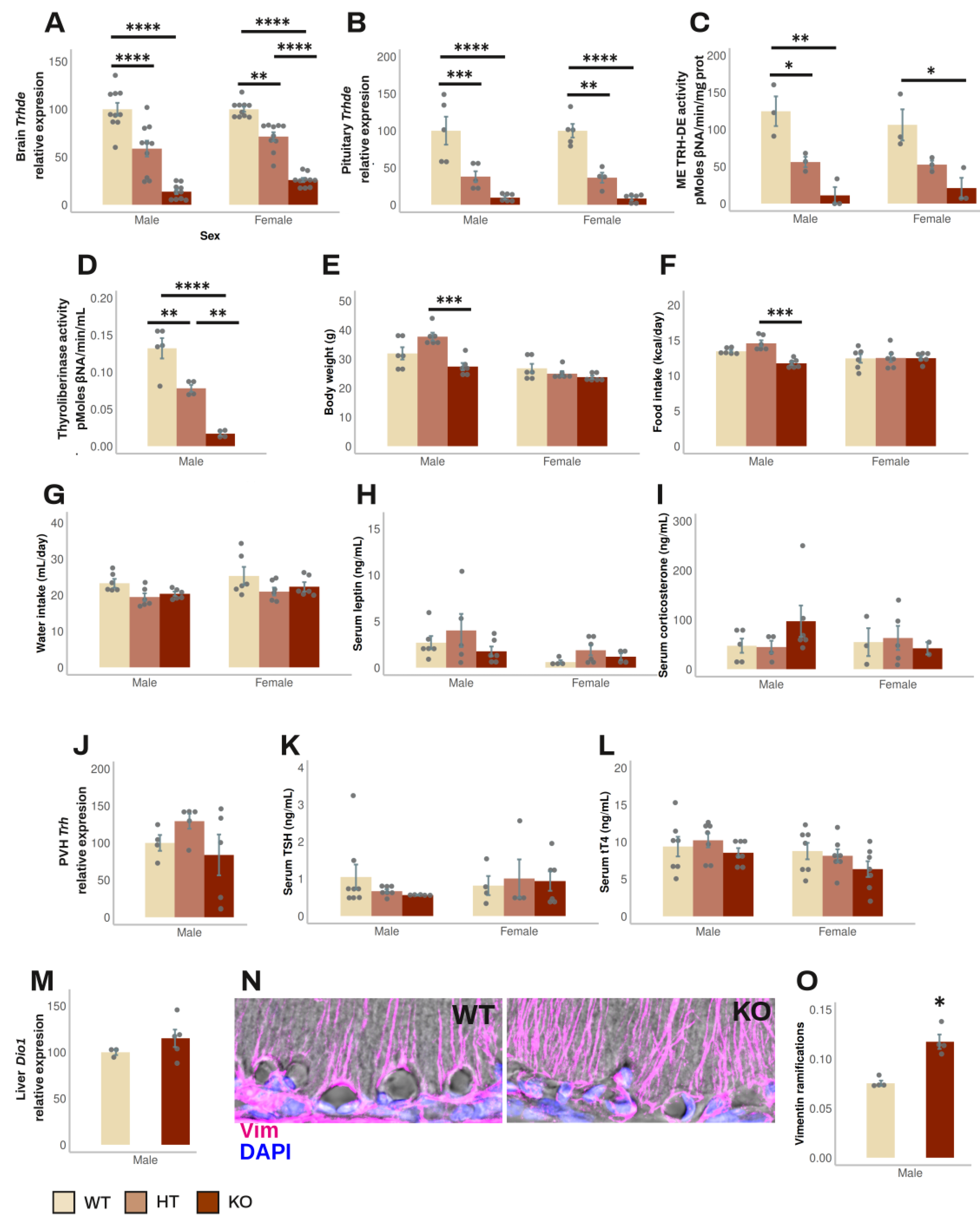 Preprints 149332 g002