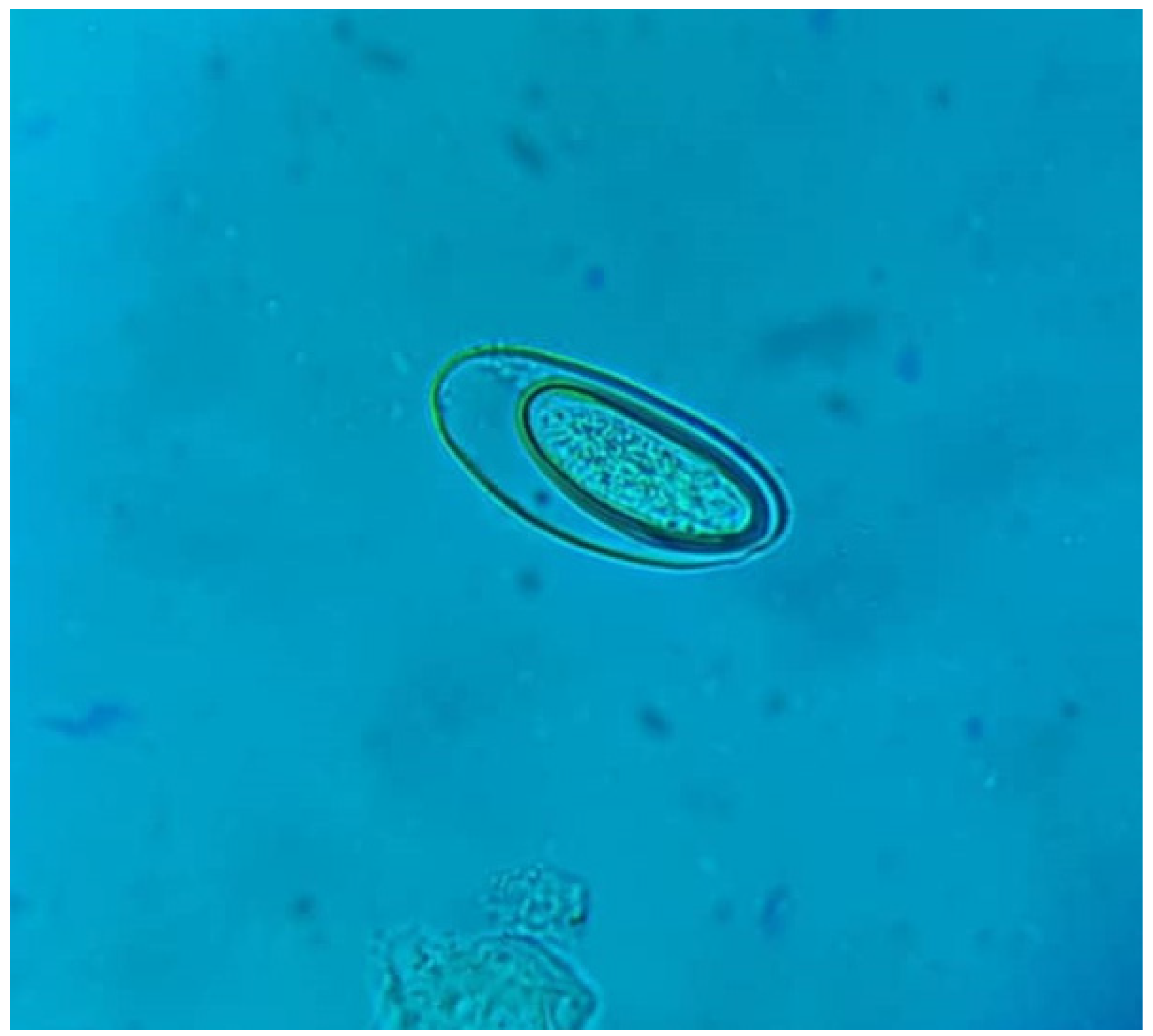 Preprints 174682 g002