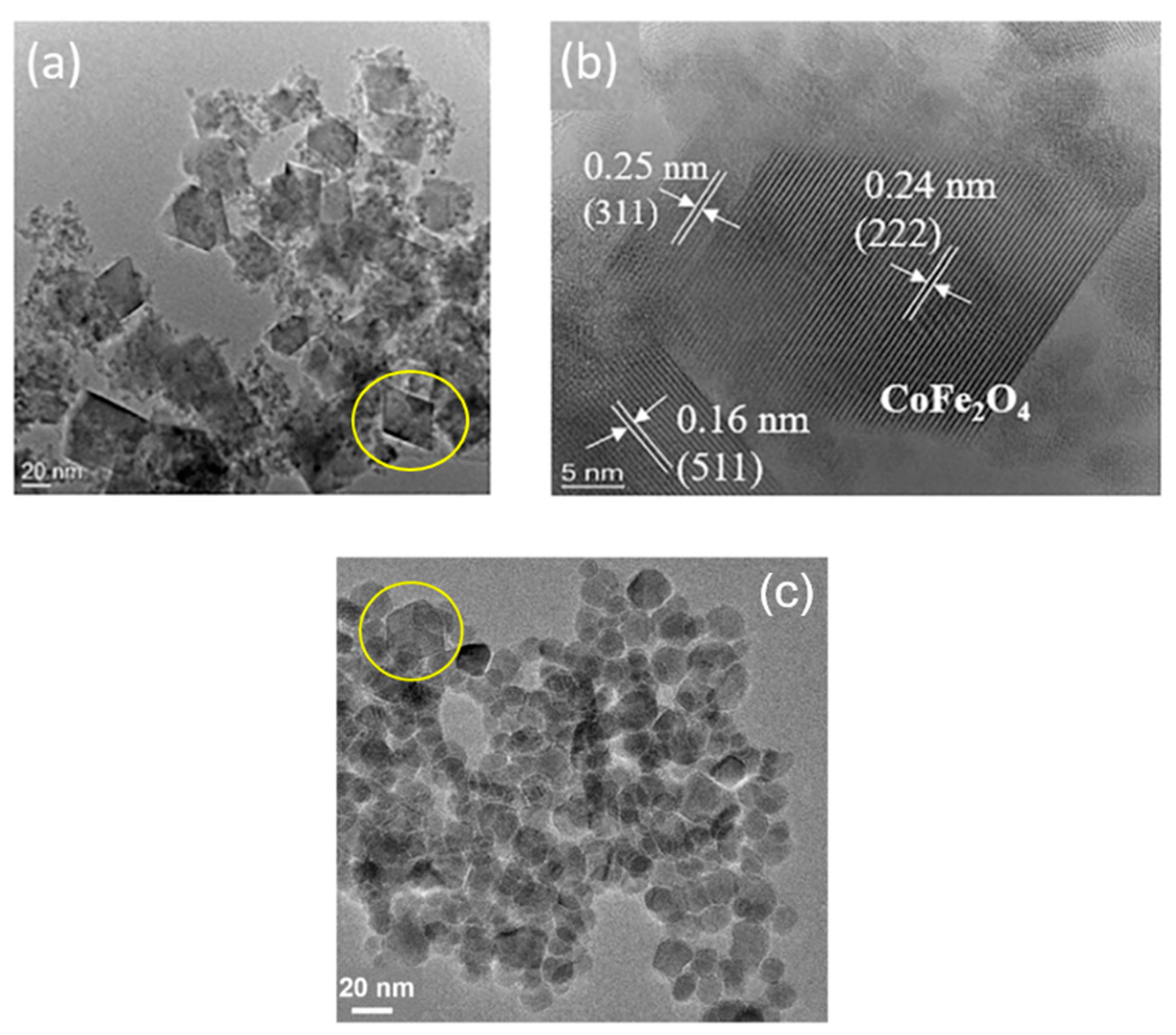 Preprints 92110 g009