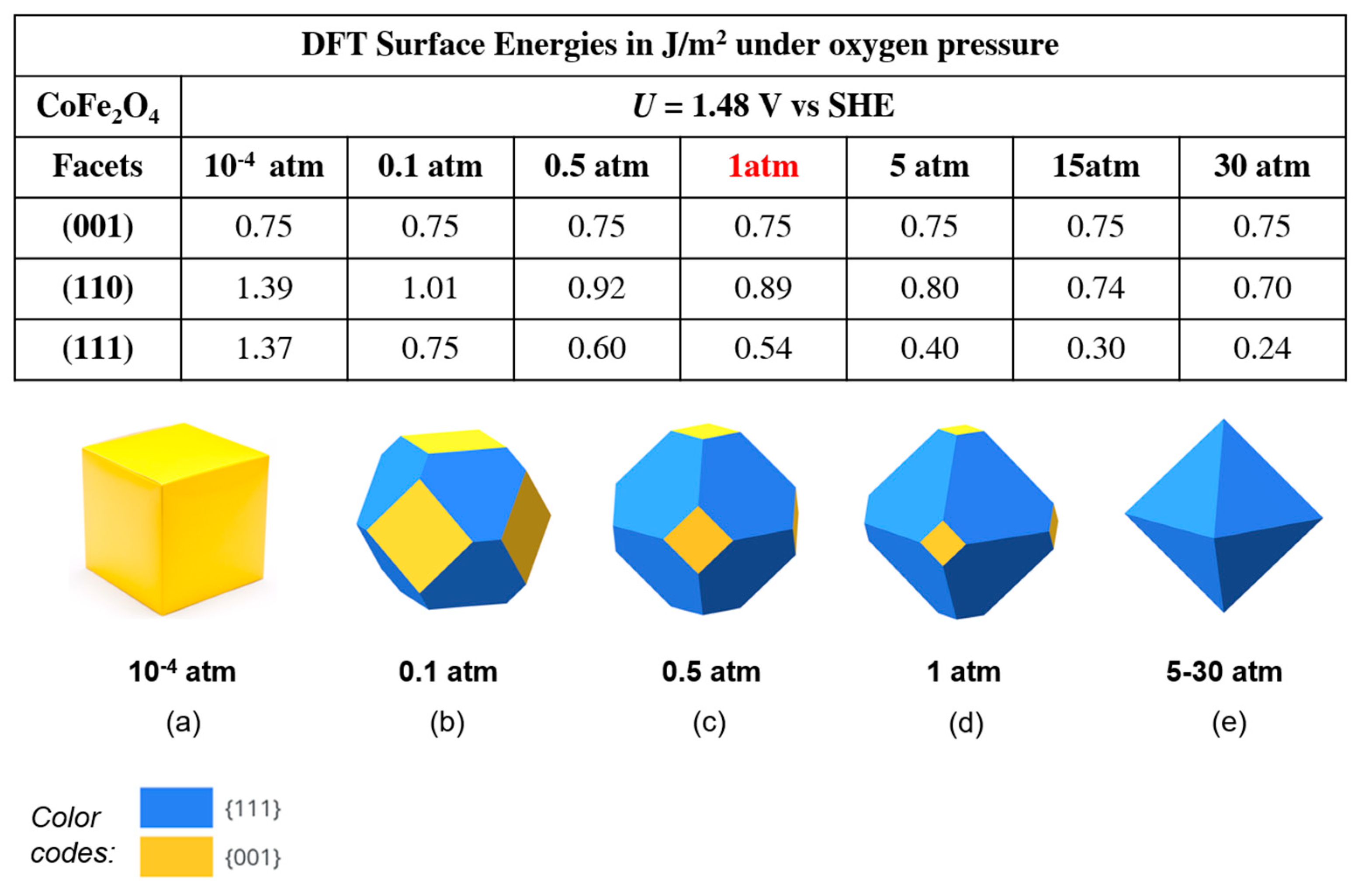 Preprints 92110 g010