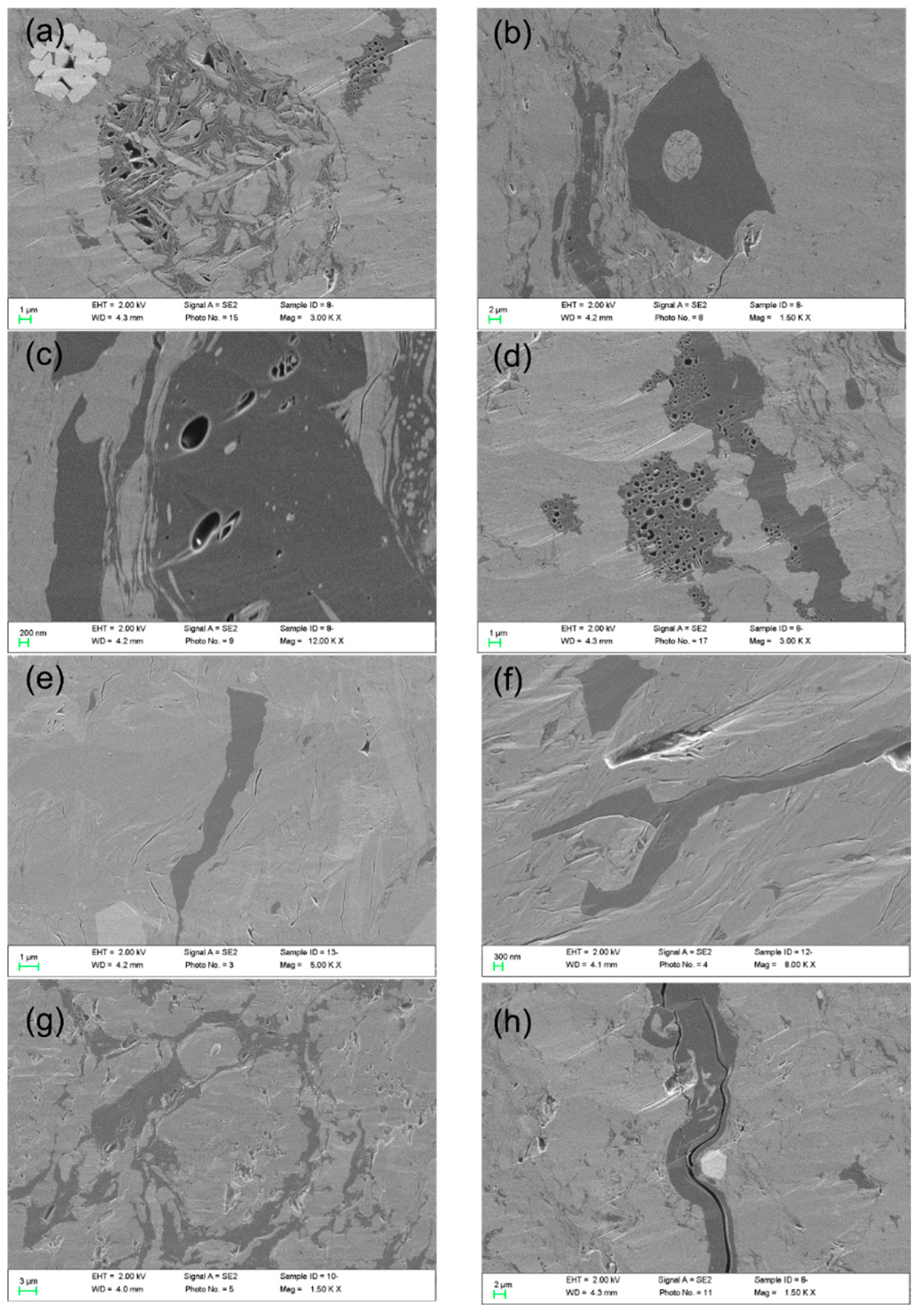 Preprints 156122 g006