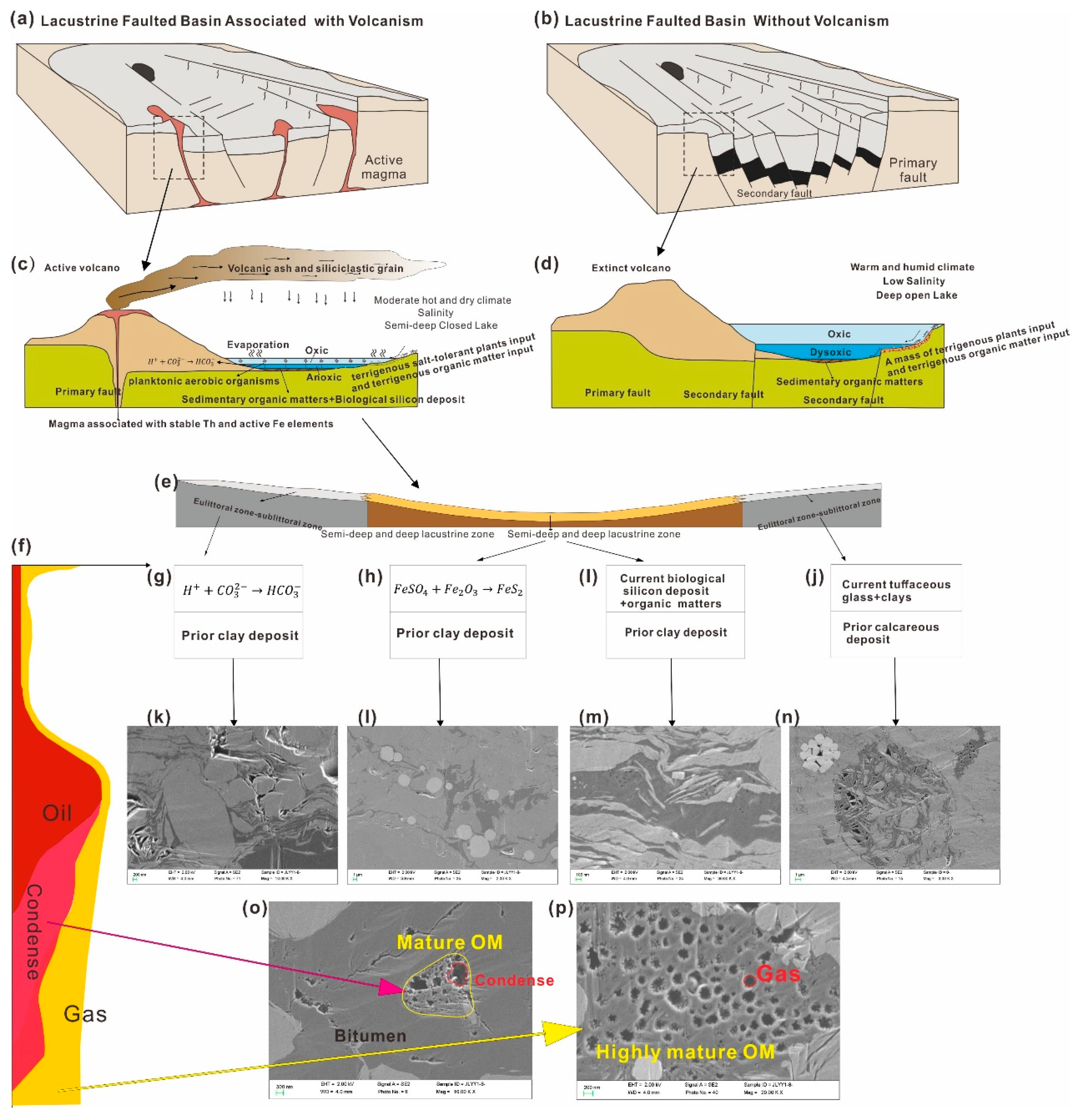 Preprints 156122 g008