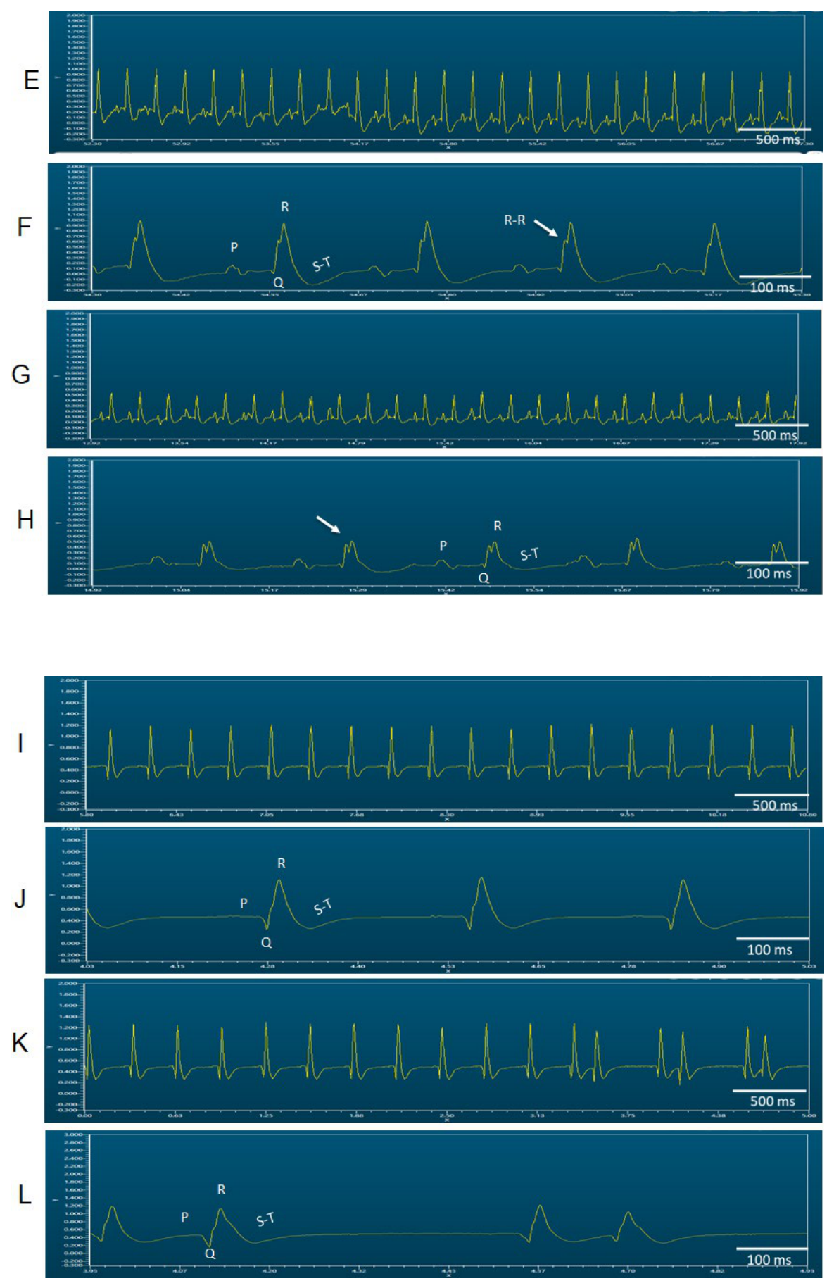 Preprints 222271 g004b