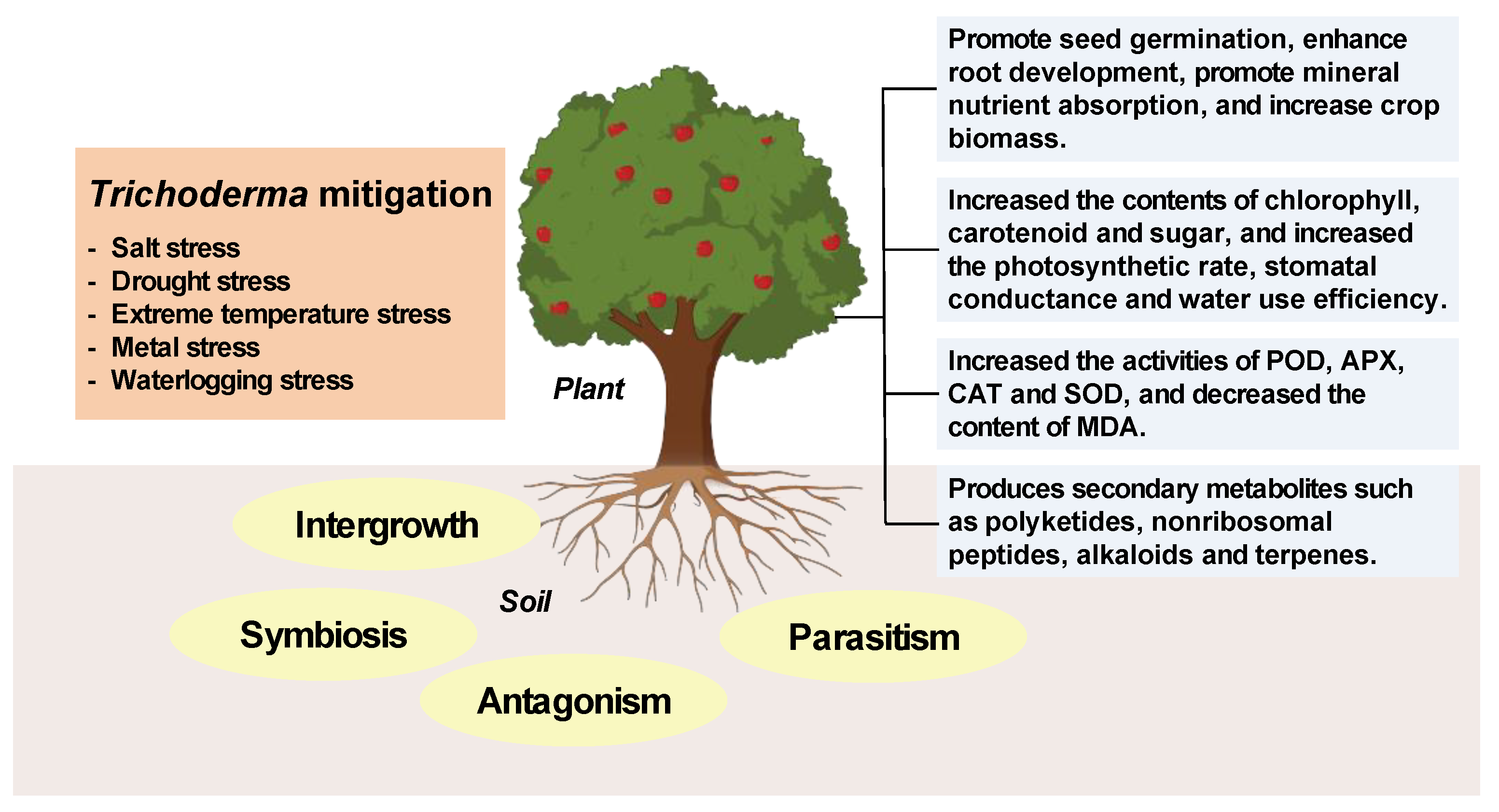 Preprints 187223 g001