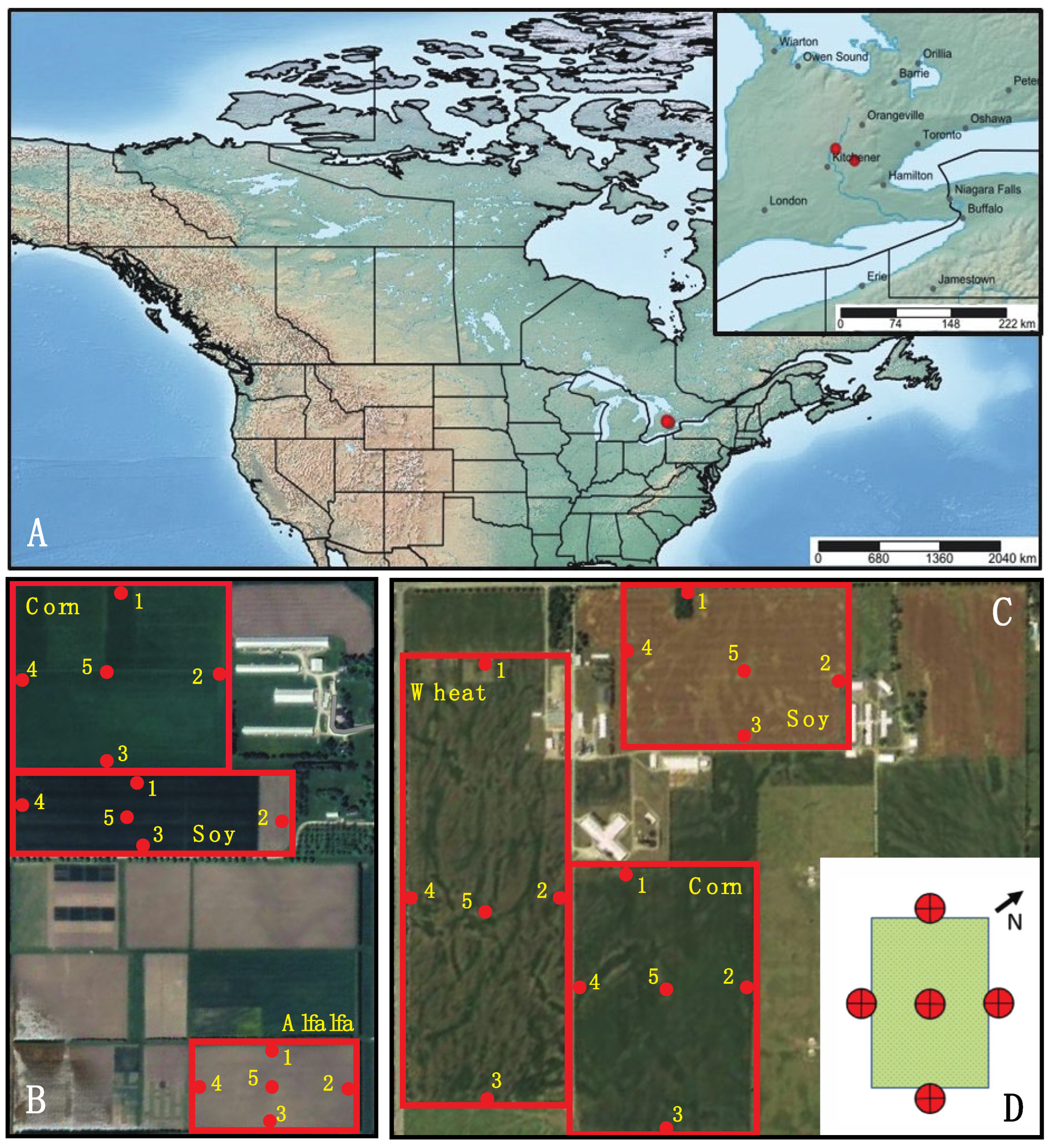 Preprints 164463 g001