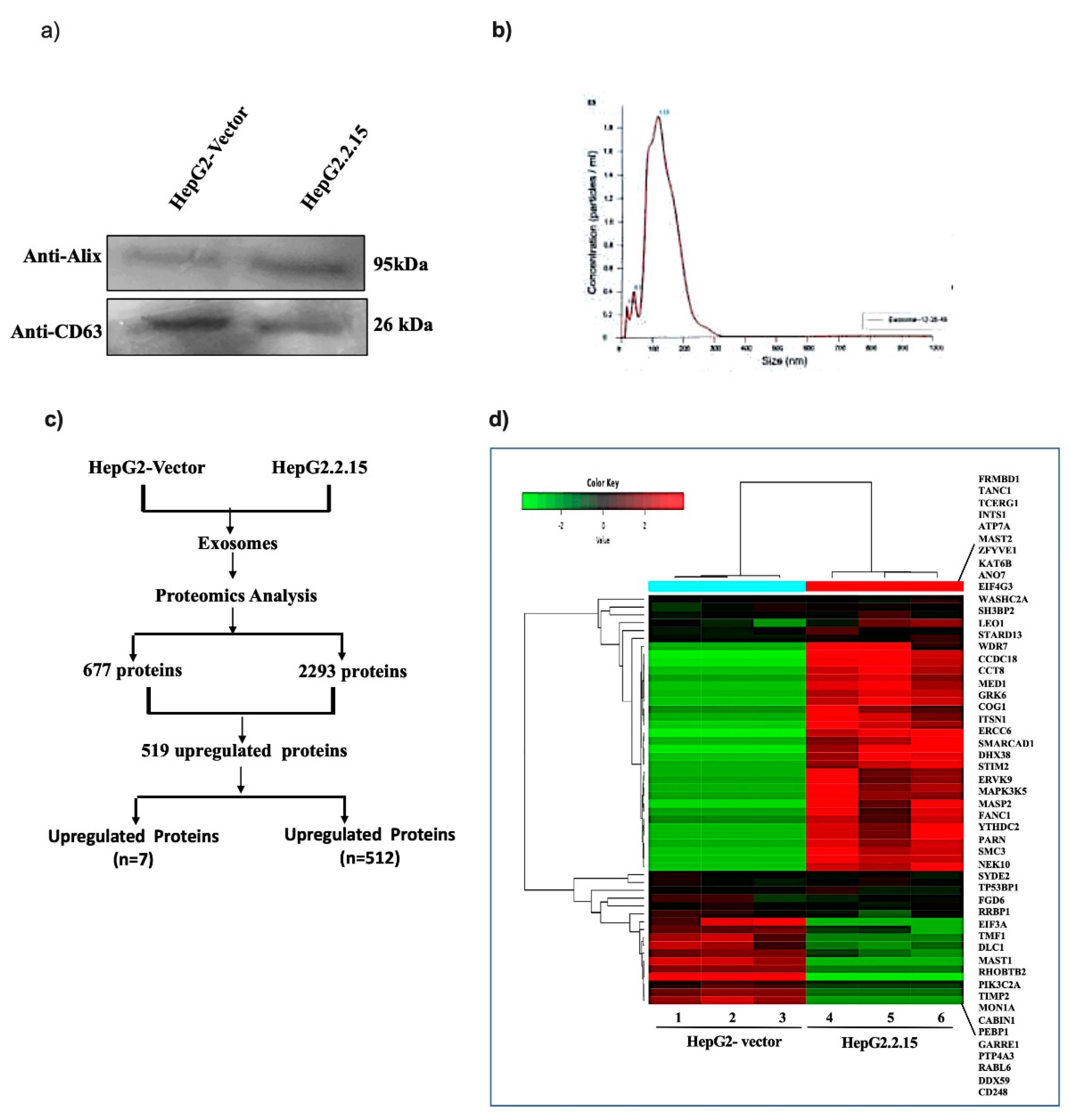 Preprints 143127 g001
