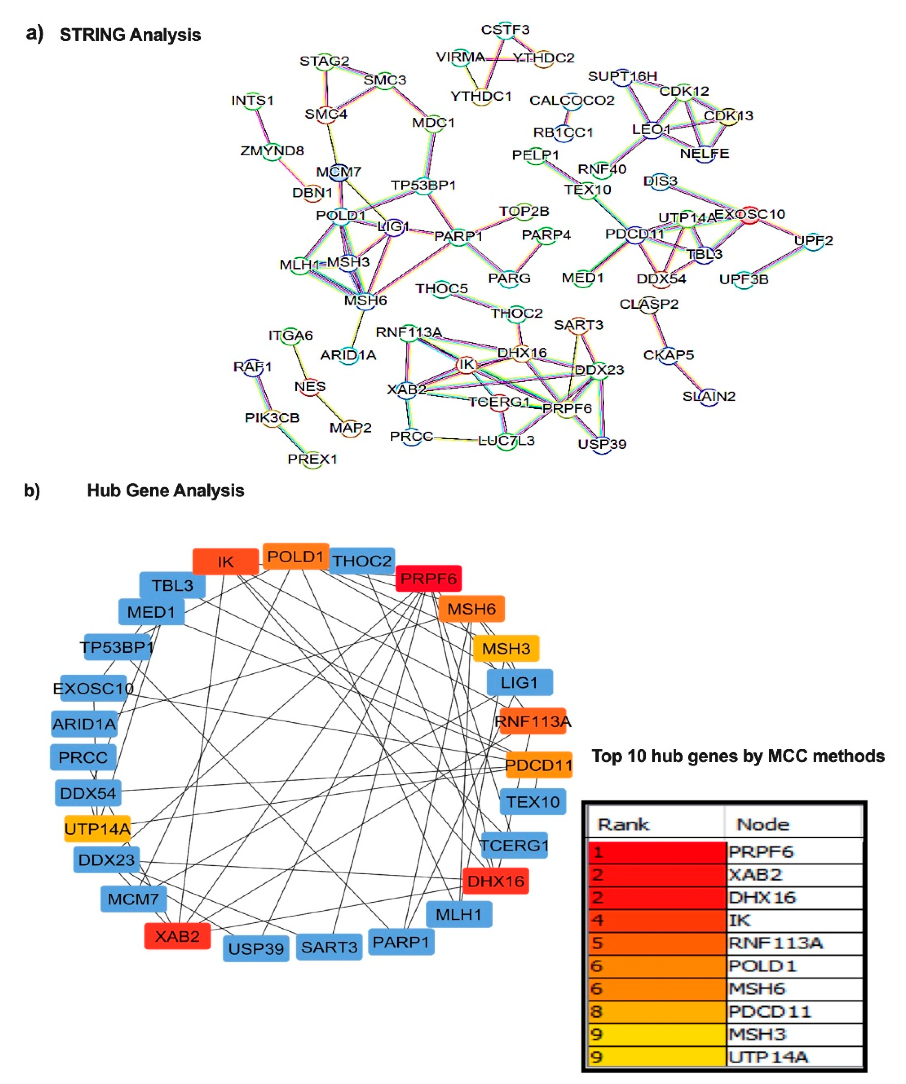 Preprints 143127 g003