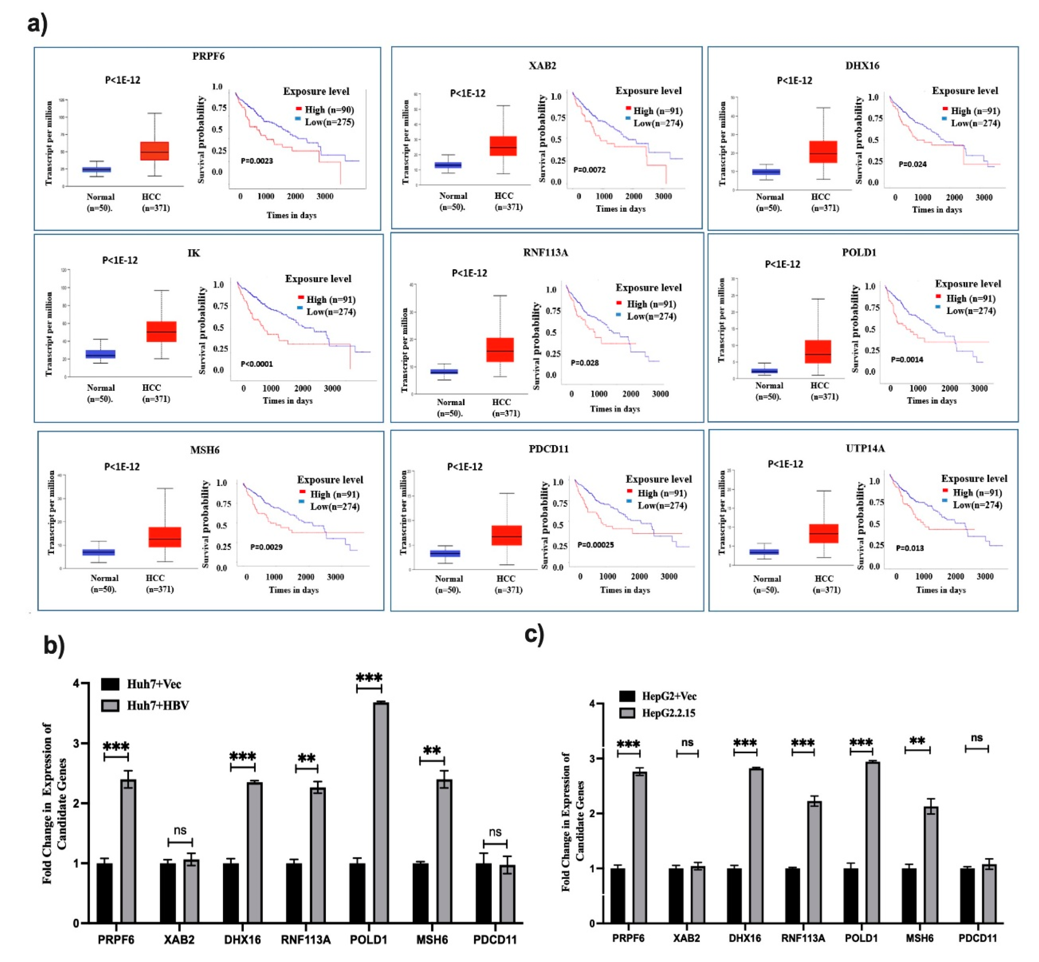 Preprints 143127 g004