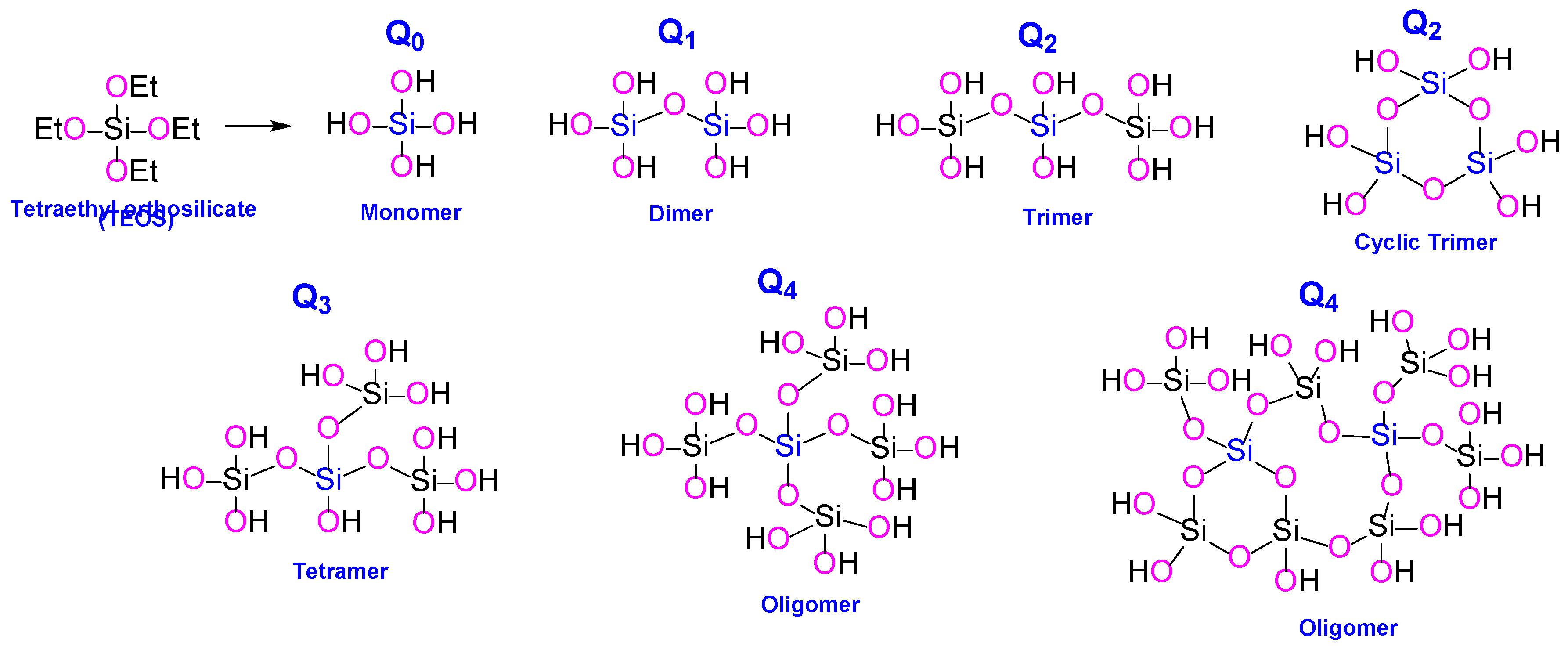 Preprints 169605 g001