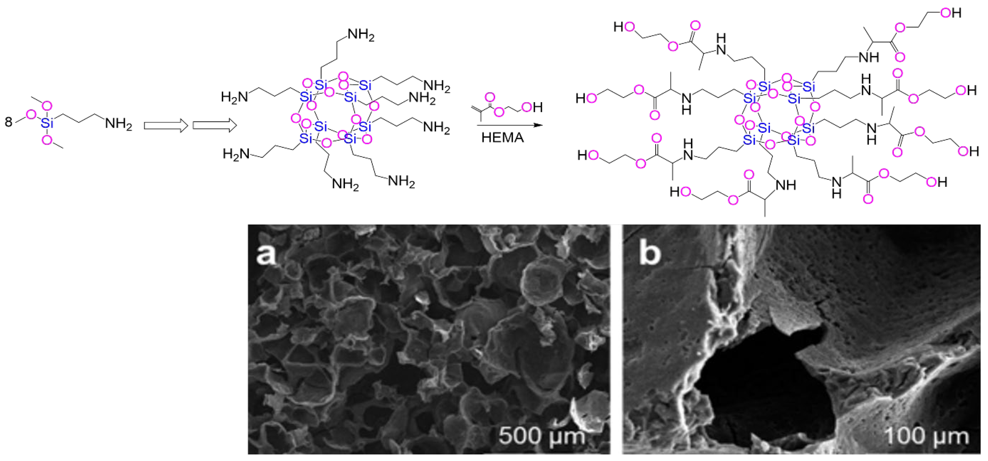 Preprints 169605 g003